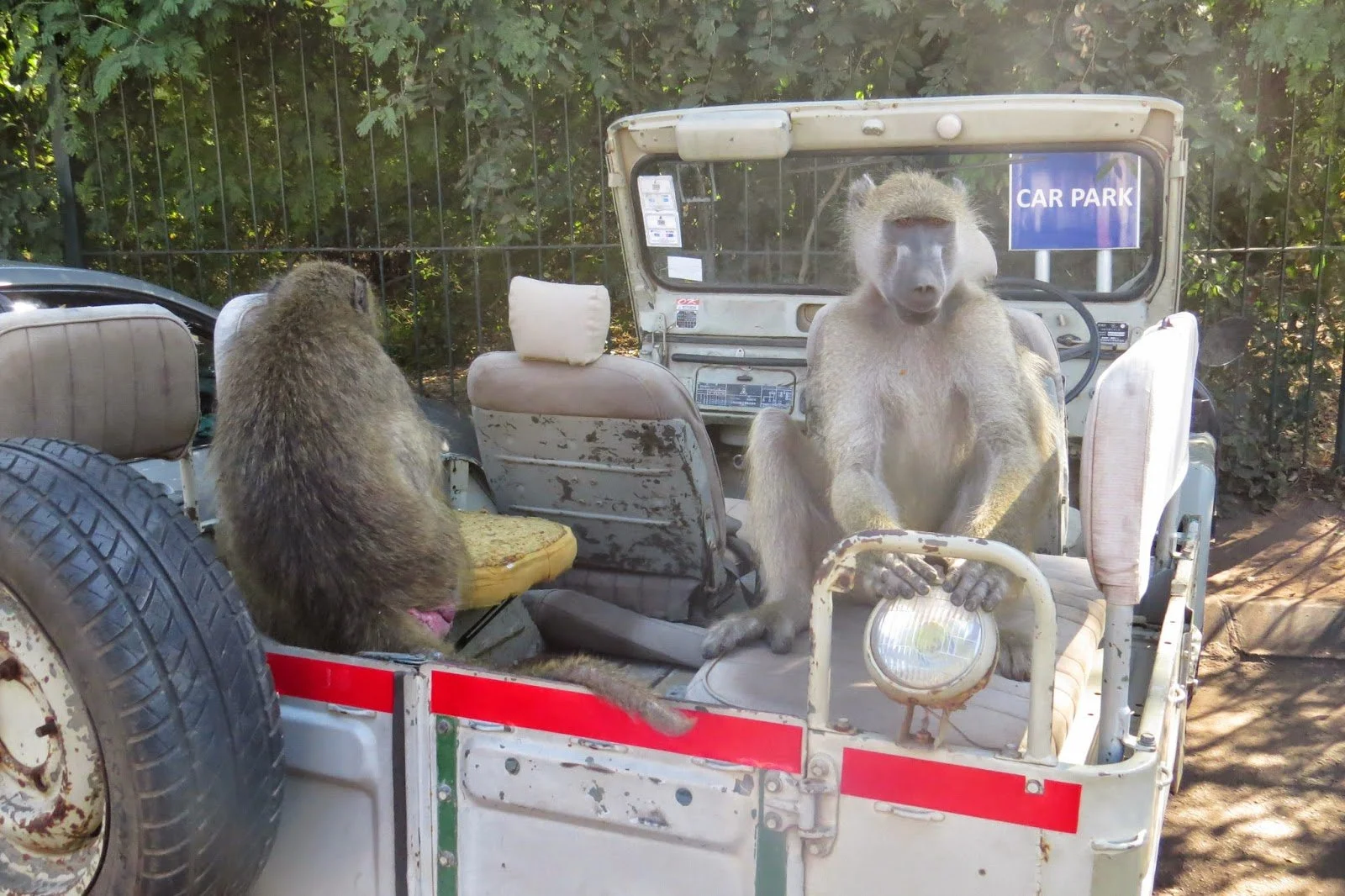 First Comes Love, Then Comes the Bride Price