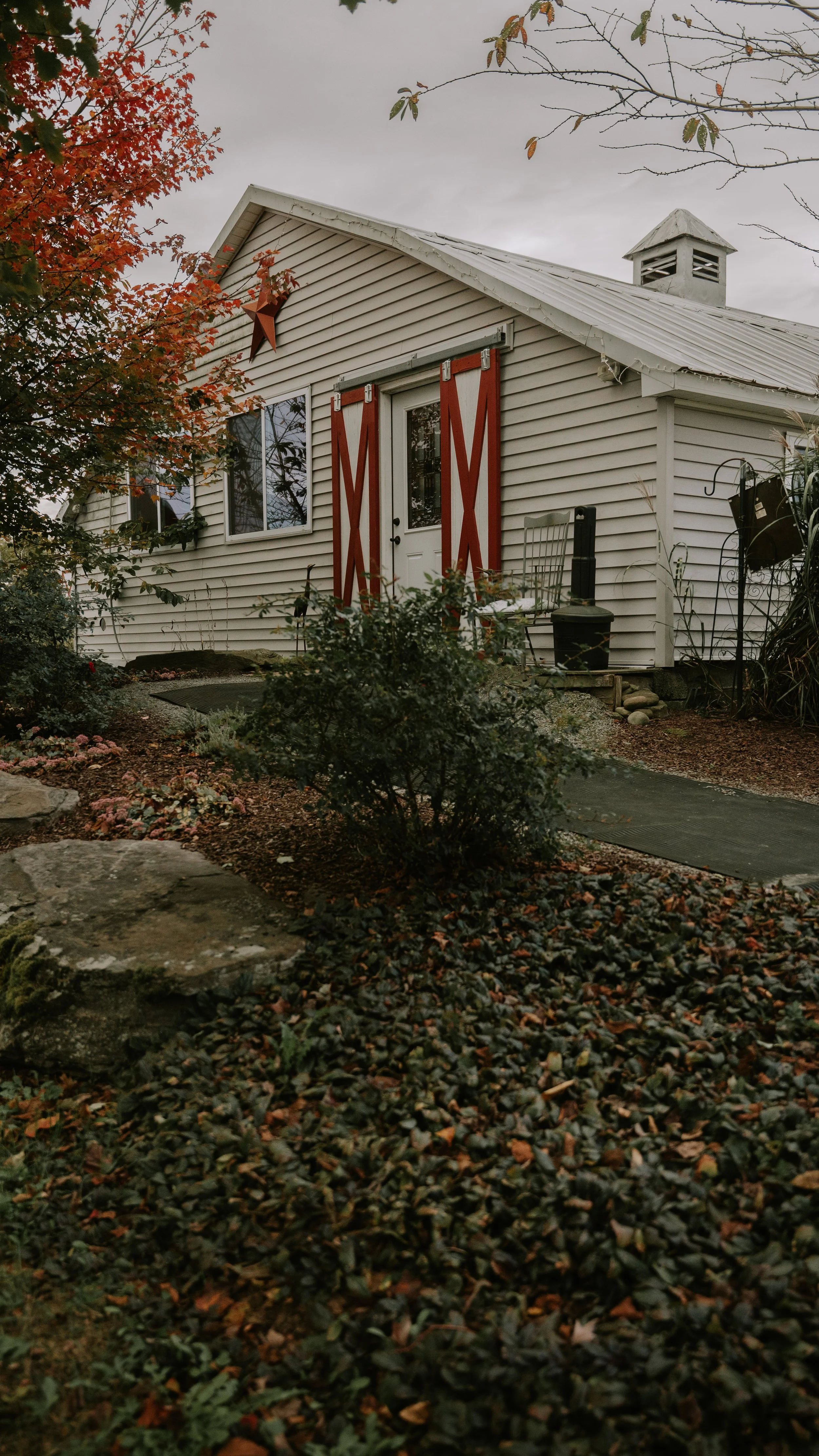 DSC02209.jpeg