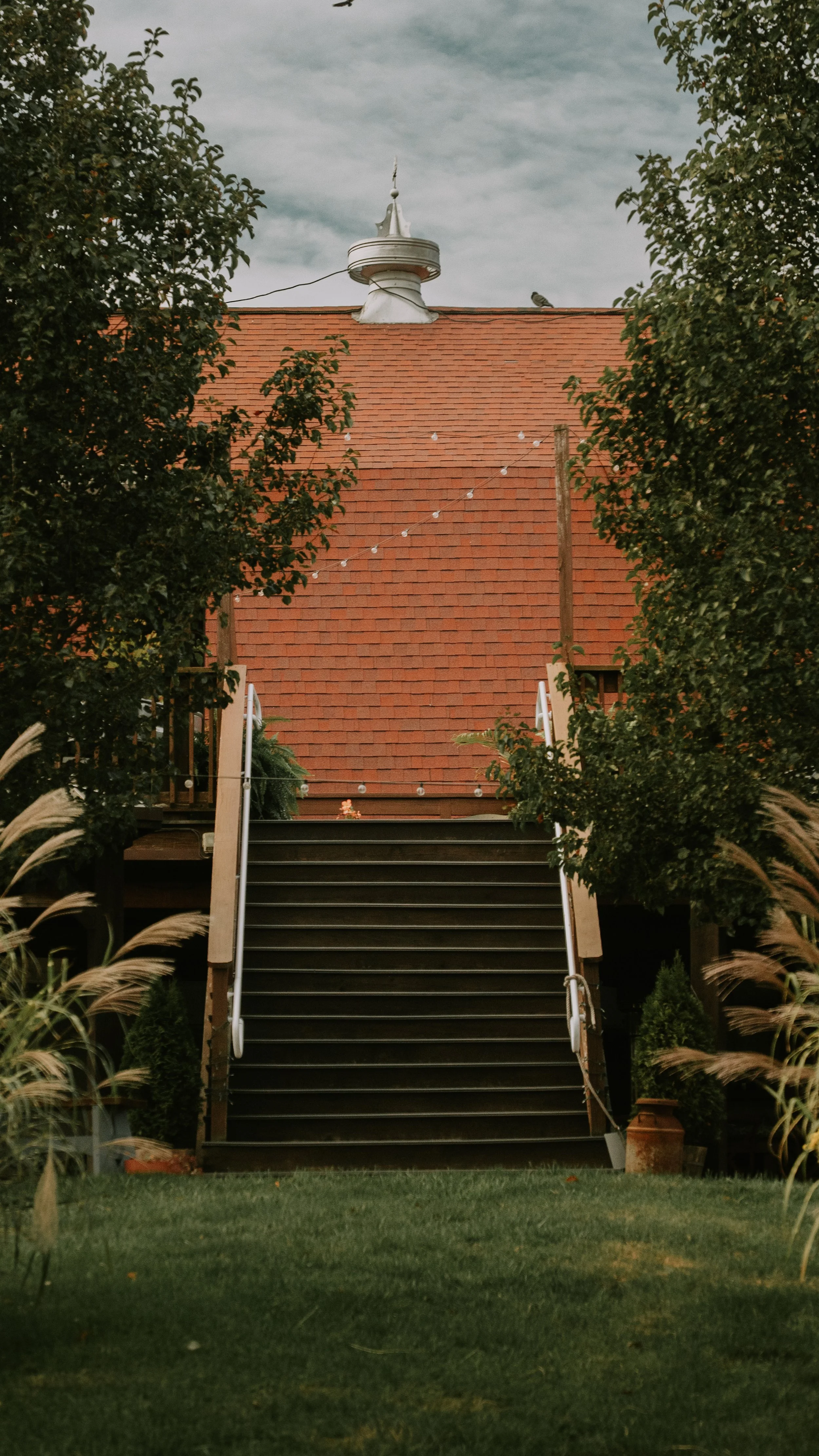 DSC02382.jpeg