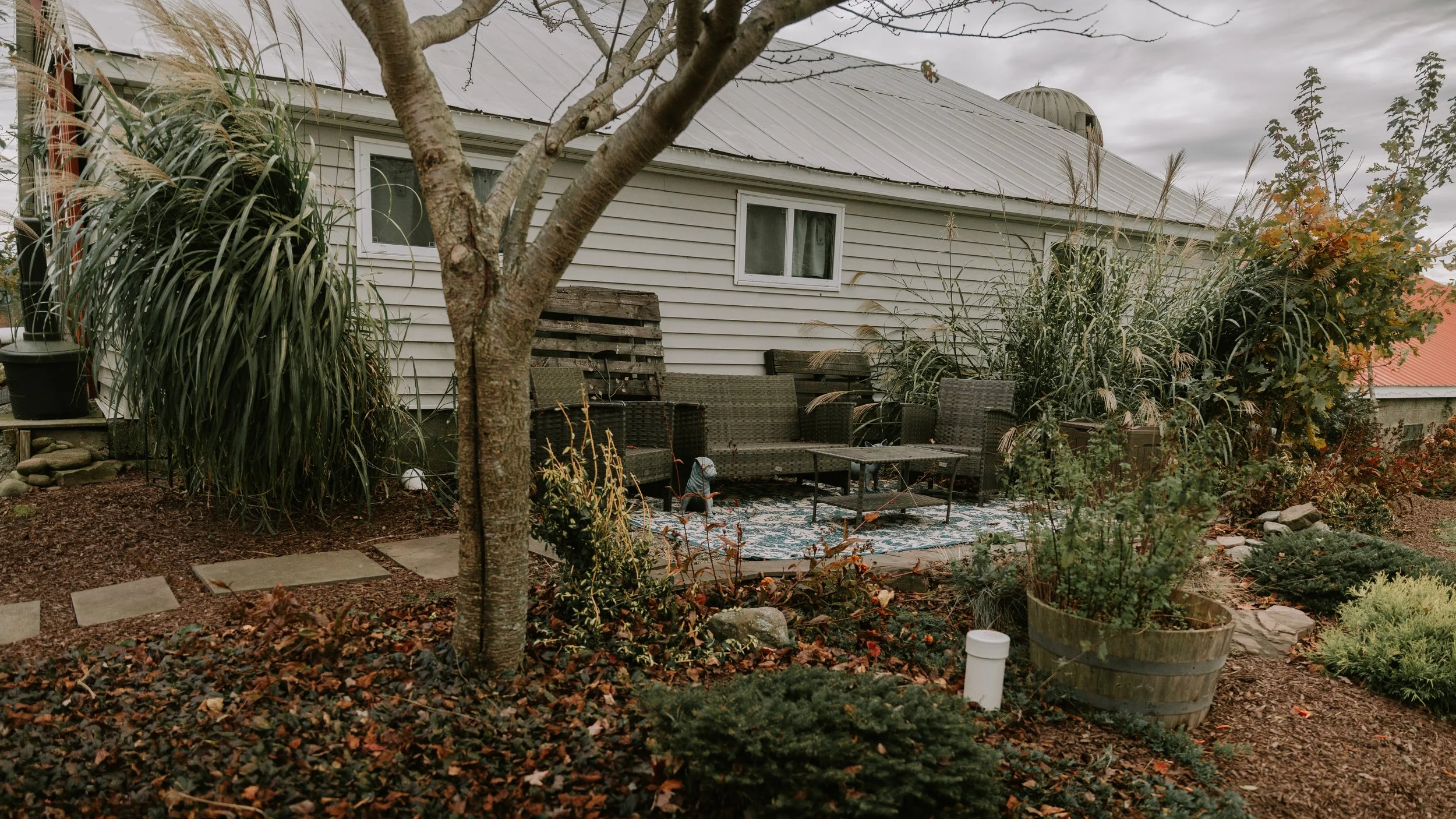 DSC02212.jpeg