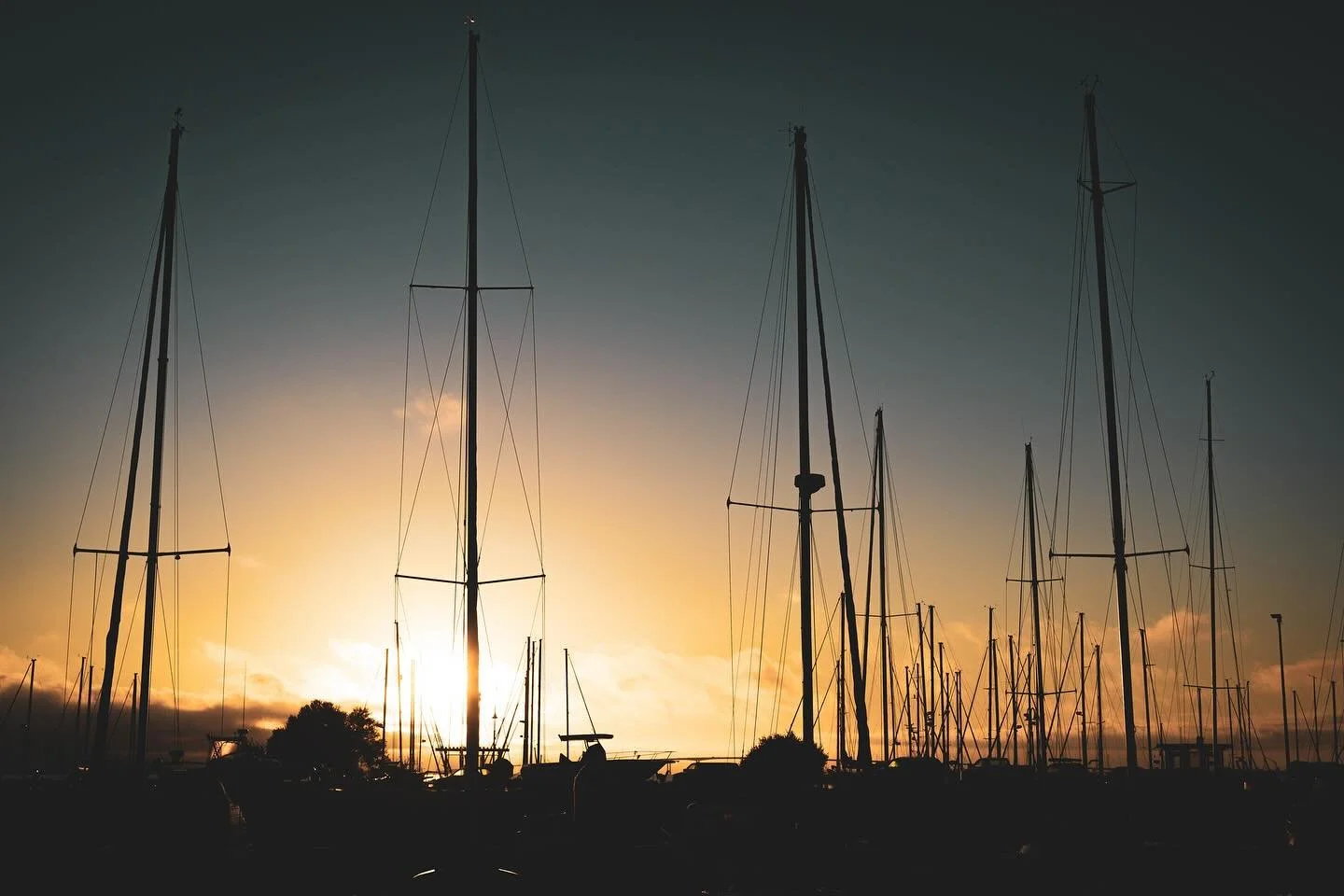 The stillness of the harbor holds its own kind of rhythm&mdash;masts and rigging like an orchestra frozen in place, waiting for wind and tide. The first light of day spilling over the Bay feels like permission to begin again.

#sanfranciscobay #sunri