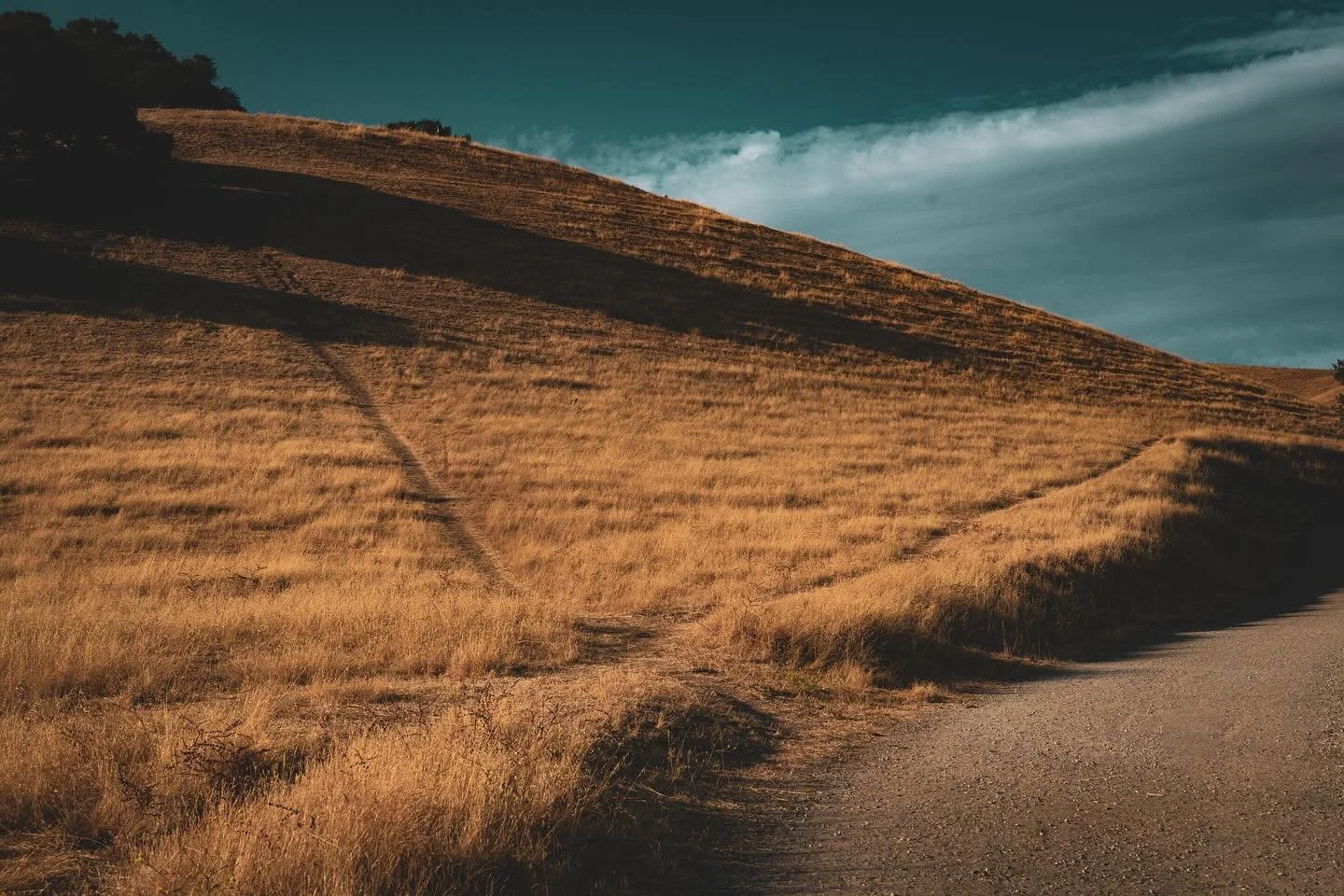 A single path carved into golden hills, leading nowhere in particular and everywhere at once. The kind of quiet that asks nothing of you except to keep walking.

#goldenhills #californiatrails #solitudescape #moodylandscapes #goldenhourmagic #wanderi