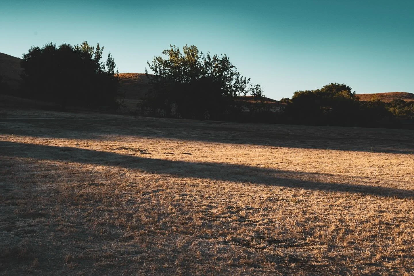 First light stretches across the field, long and soft, waking the land with quiet warmth.

#sunriselight #morningcalm #firstlightmagic #earthtones #quietlandscape #naturewhisper #softmorning #shadowplay #fieldscape #sunrisevibes #outdoorphotography #