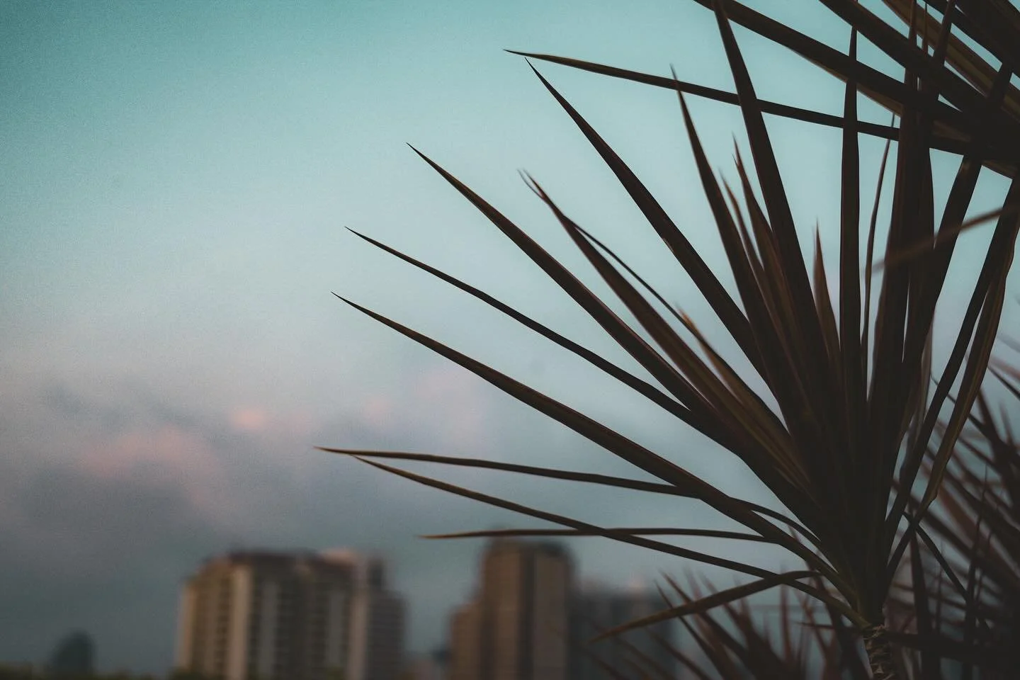 Bangkok, even the quiet moments hum with life. The city fades in the distance, but its pulse lingers&mdash;soft, warm, and infinite beneath the evening sky.

#BangkokMoments #UrbanStillness #EveningLight #QuietAdventure #TravelPhotography #WanderLigh