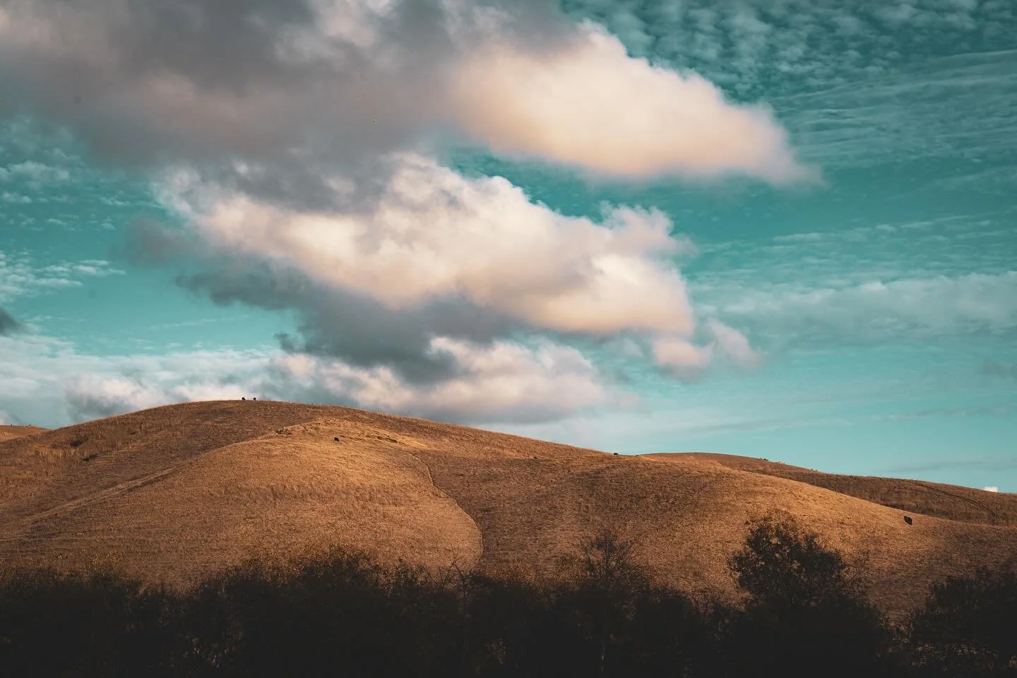Clouds drift low over the golden hills, like thoughts passing through a still mind. The light changes, the wind moves, and yet something deep within the land stays the same&mdash;quiet, unbroken, eternal.

#quietadventure #brossworks #michaelbross #m
