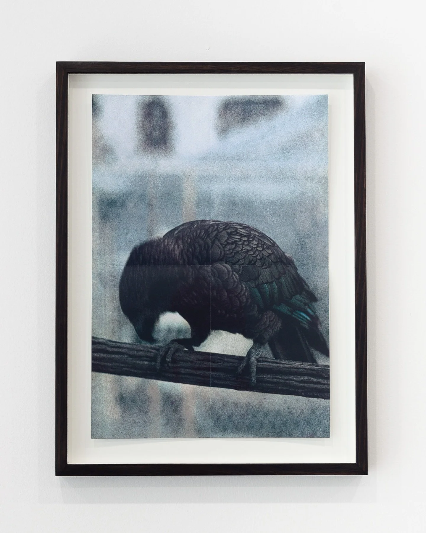 A couple + works framed by us for @inte_n_t and shown by @animalhousefinearts at the recent @spring1883. 

Folded inkjet prints with some very custom float mounts, conservation-grade matboard, non-reflective glazing, stained &amp; waxed oak.

Images 