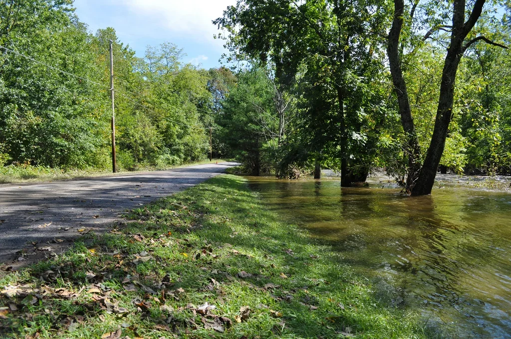 side of the road in upstate new york green trees and grass