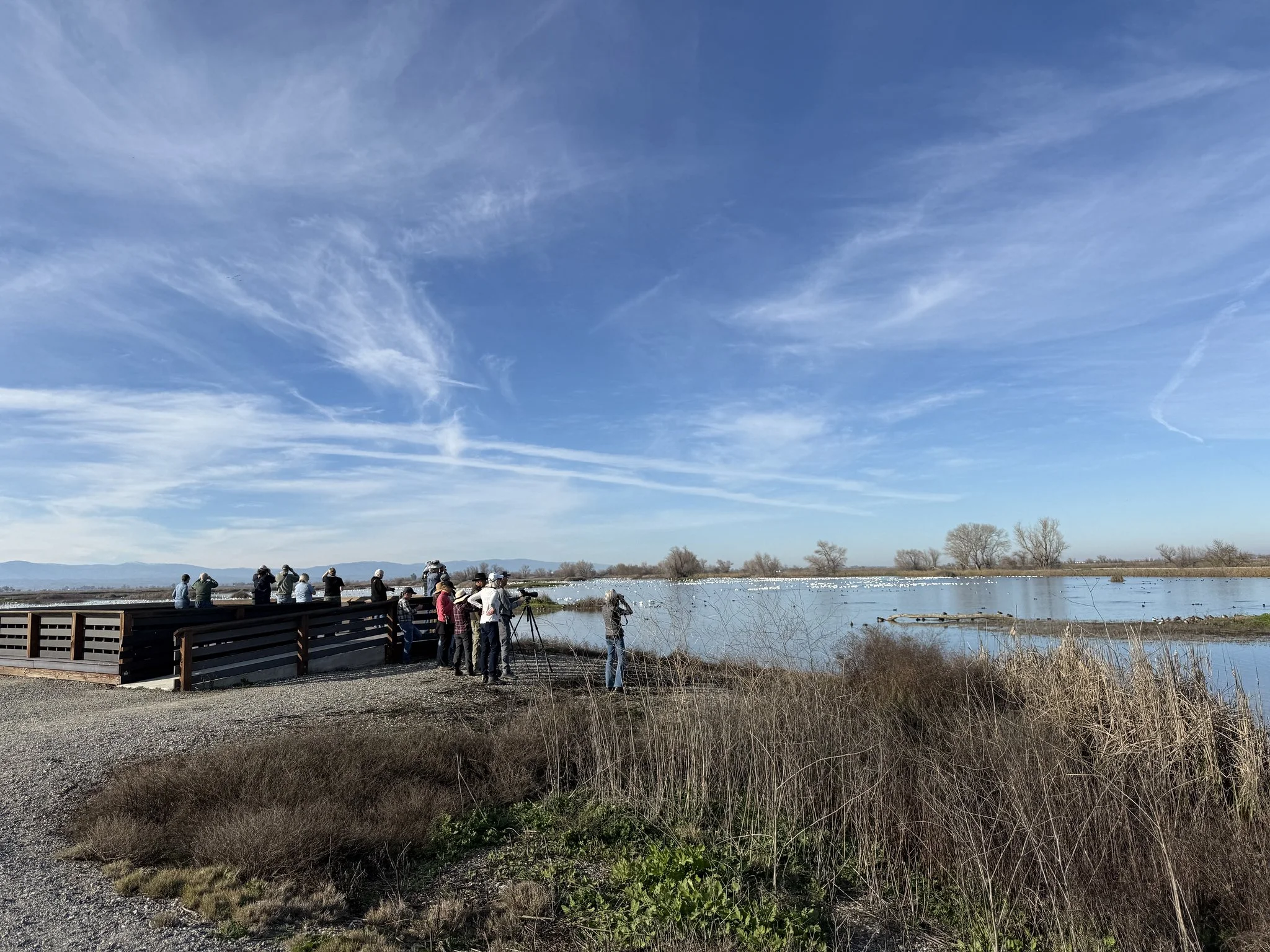 Central Valley Field Trip Report 2026