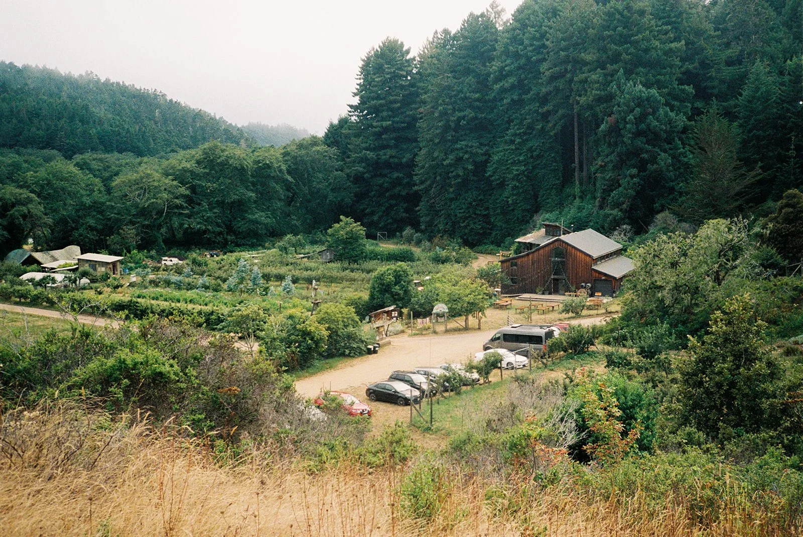 Oz Farm: Birding &amp; a Bit of Botany - Field Trip
