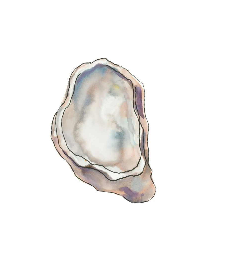 oyster.jpg