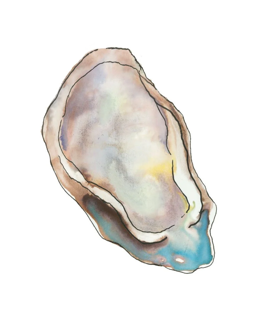 oyster2.jpg