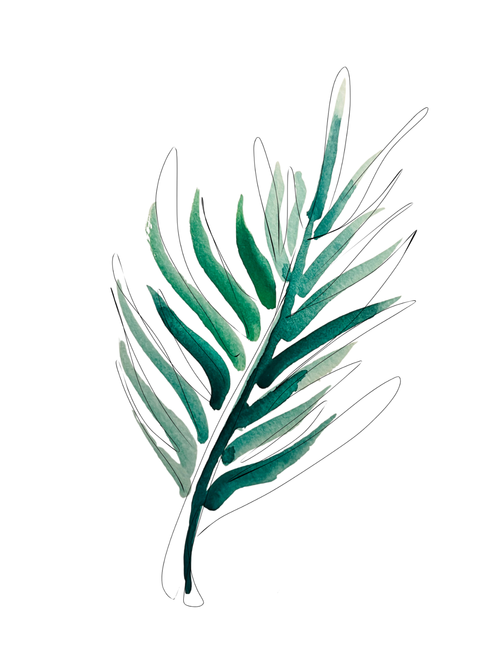 PALM ROYAL_Webb Graphics_Solo - 13.PNG