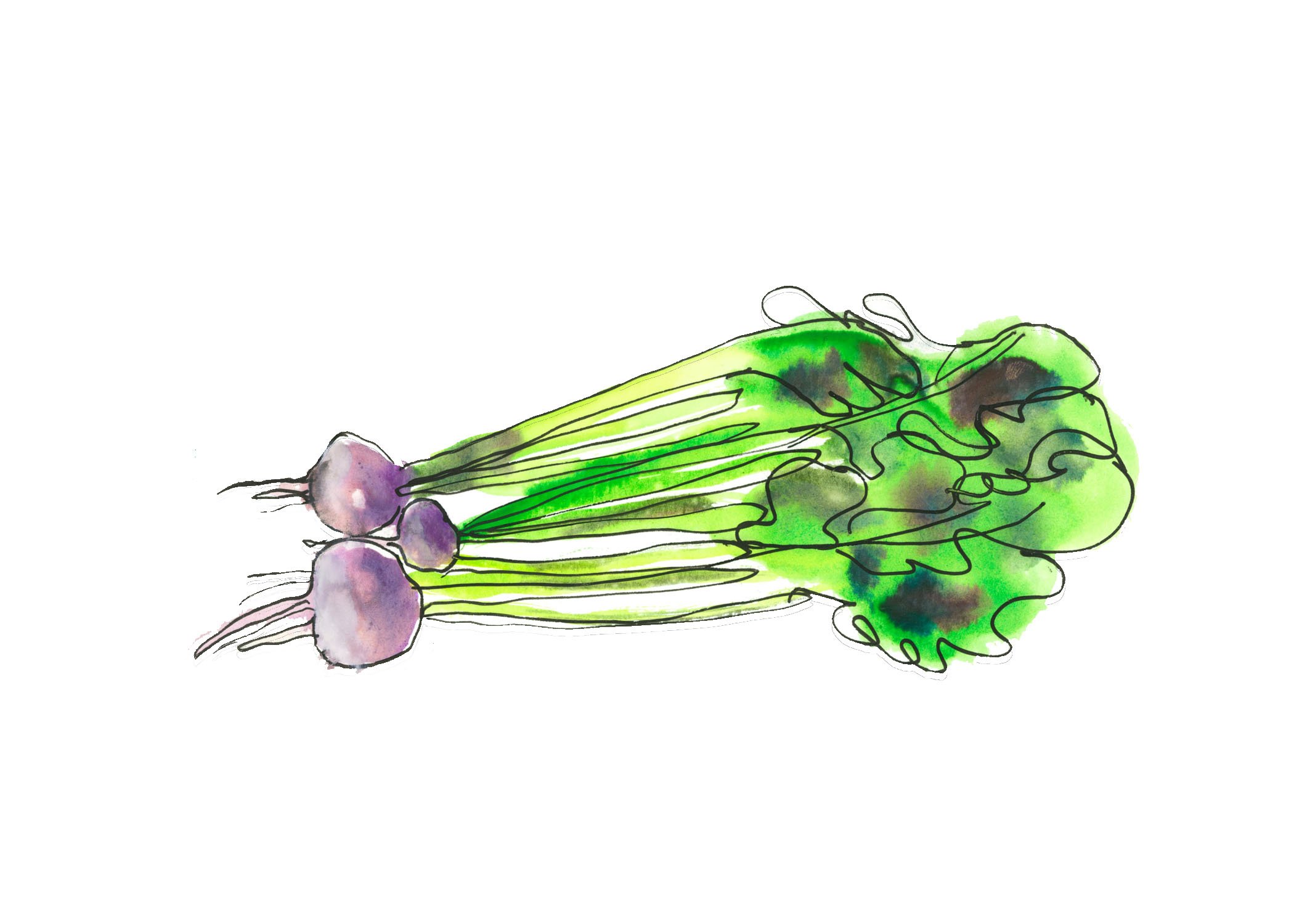 shallots.jpg