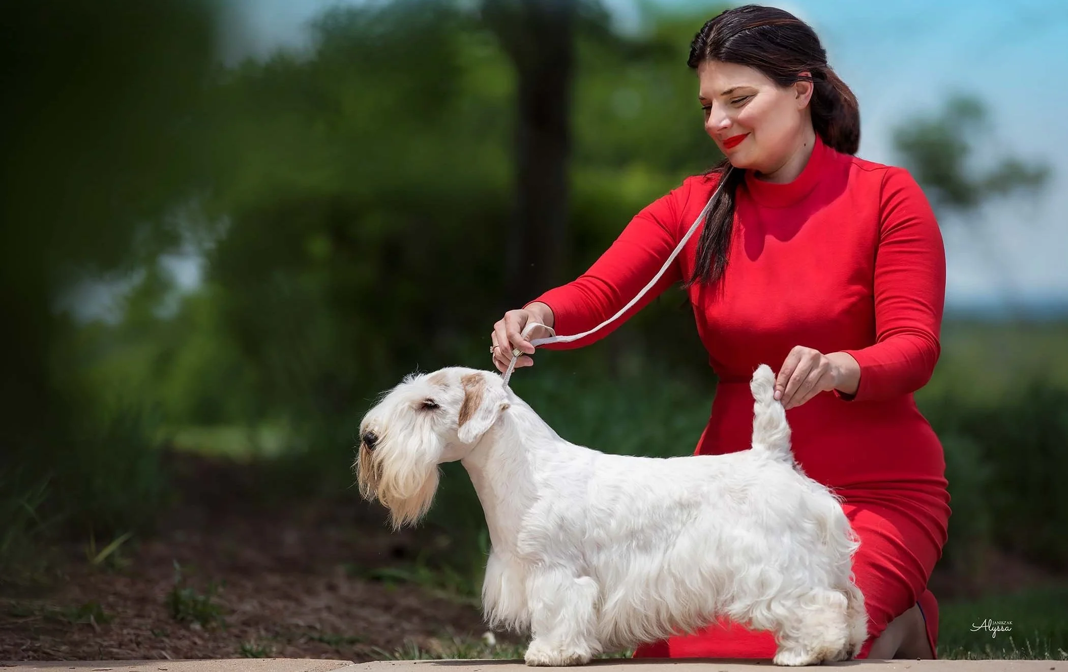 Sealyham Terrier Zip Breeder Aimee Koch