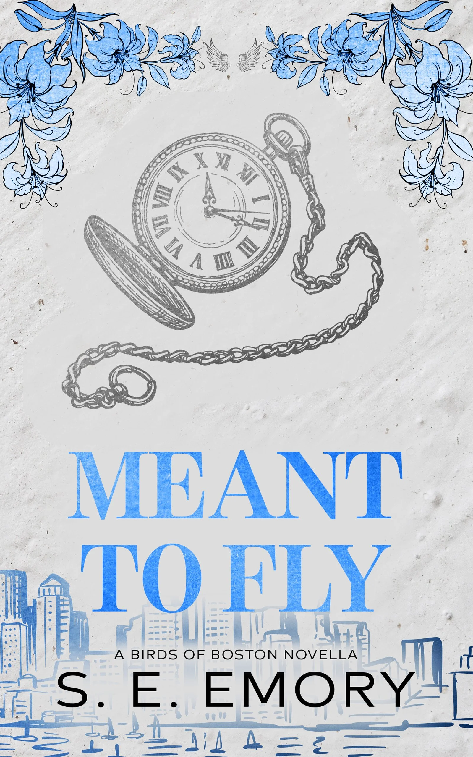 MEANT TO FLY - EBOOK COVER.jpg
