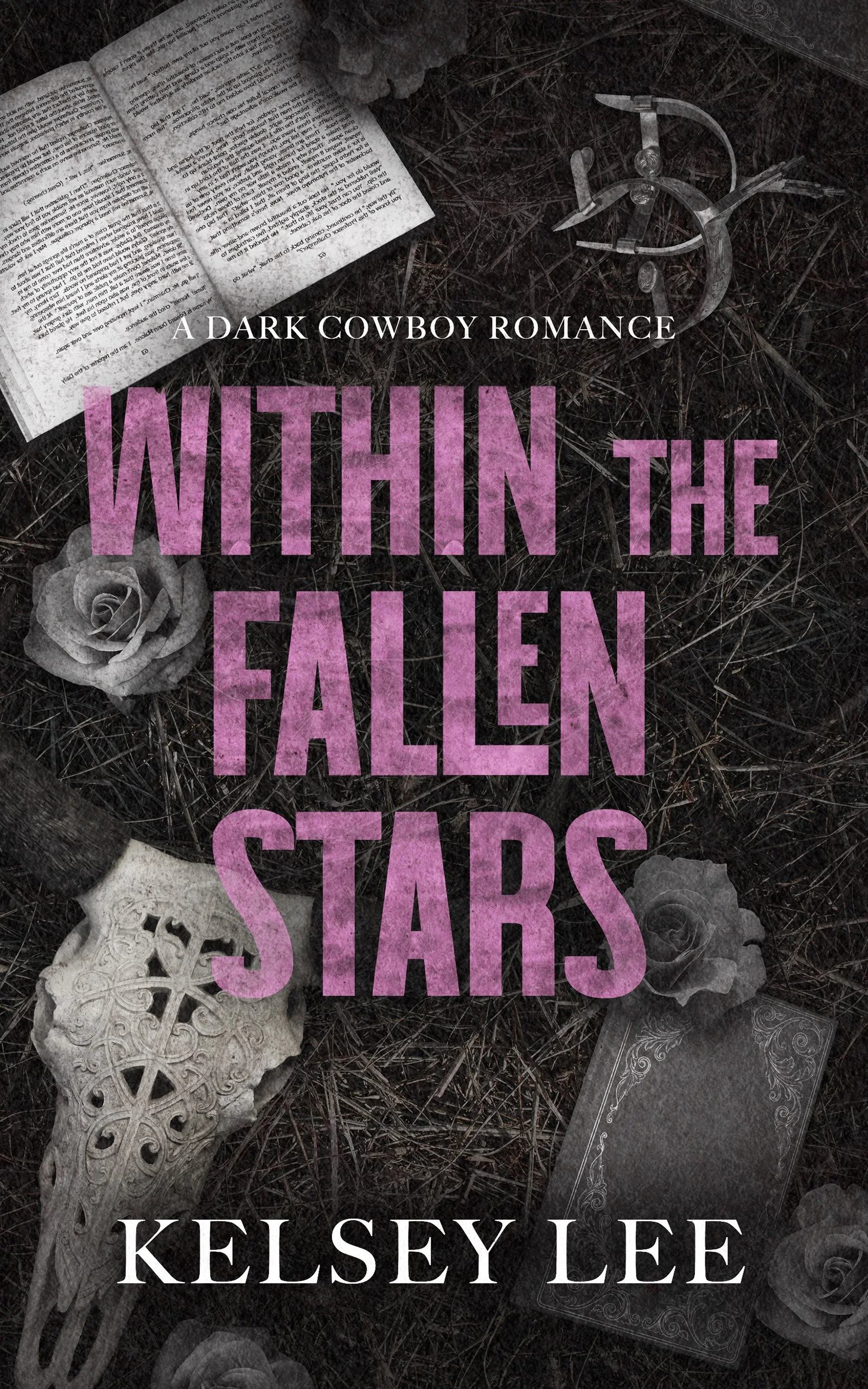 WITHIN THE FALLEN STARS - EBOOK.jpg