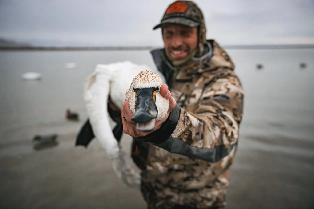 Tag filled! Got my first ever Utah swan this weekend. Huge shoutout to Paul Koetitz for getting me out in the marshes and in swan territory, and to @chadyamane for calling this beautiful bird right into his spread! I had a blast getting back out onto