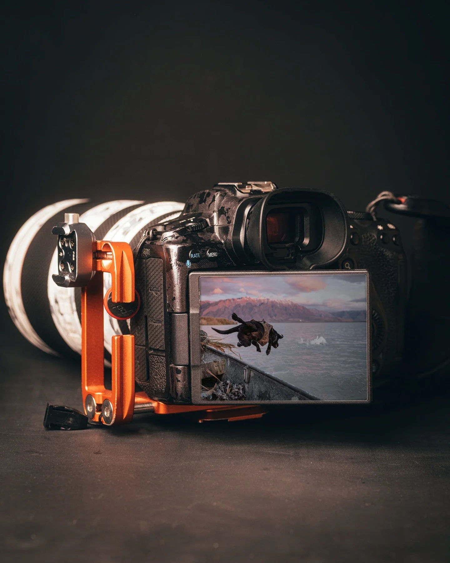 Back of my Camera. 
_________________
The Swan Dive. With sunset in full effect and shooting hours winding down to minutes, Hunter smacked this beautiful adult tundra swan. We scrambled into the boat, Jet poised on the bow, focused on the bird. On co