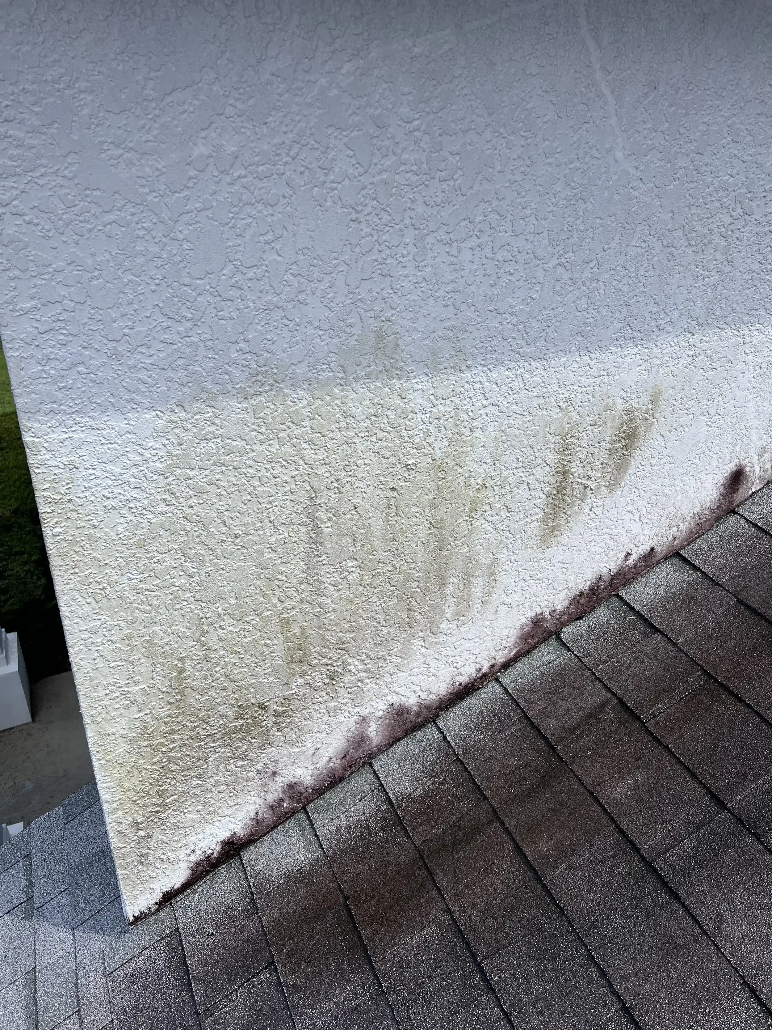 Orlando home with green algae and black mold growing on the side