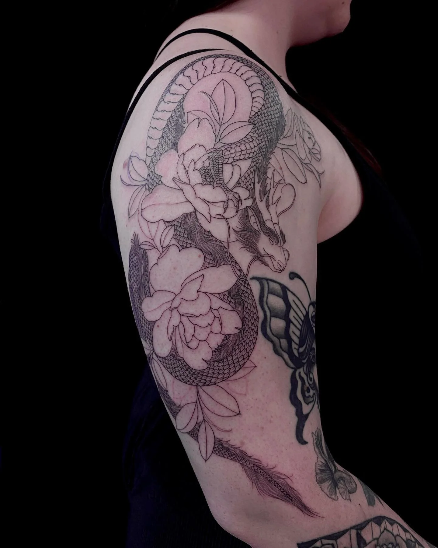 First session for Bree today, sat like a rock. Thank you!