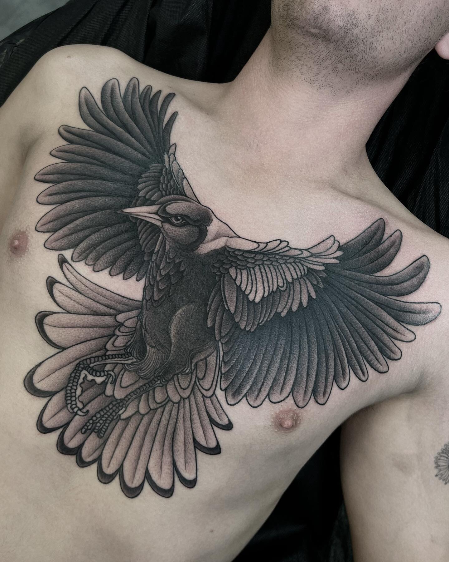 I have so many tattoos in my camera roll that I just forget to post
And sometimes I take really poor shots of tattoos that I wanted to post. Here's one of a Magpie I did a little while ago,
Two sessions and didn't move a muscle on either, I think rou