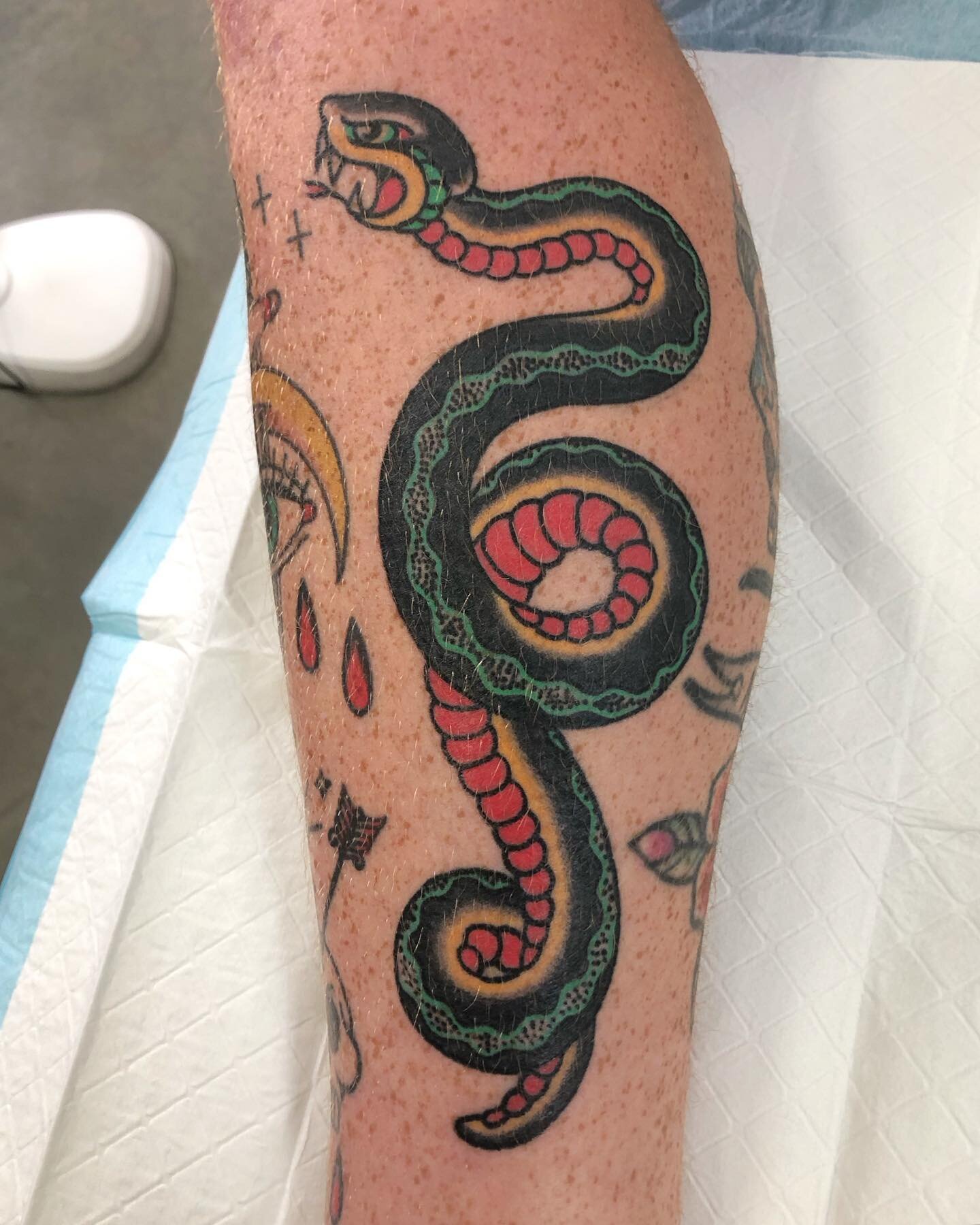 Coupla cool snakes for Tristan, thanks so much mate. Made at @wa.ink.tattoo DM for bookings in November/ December