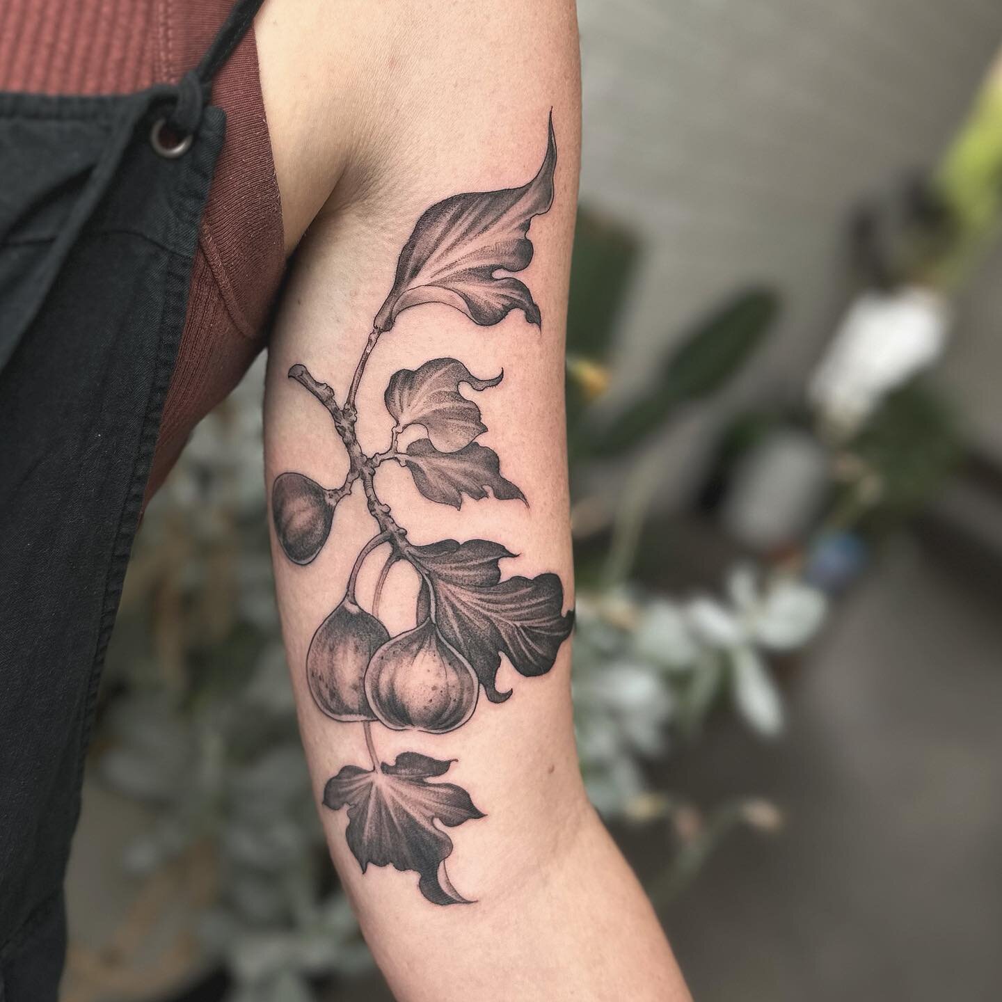 💖

&bull;:&bull; repost due to blurry video ✨ 
.
.
.
.
.
.
#perthtattoo#perthtattooartists#perthtattooartist#botanicaltattoo#figtattoo