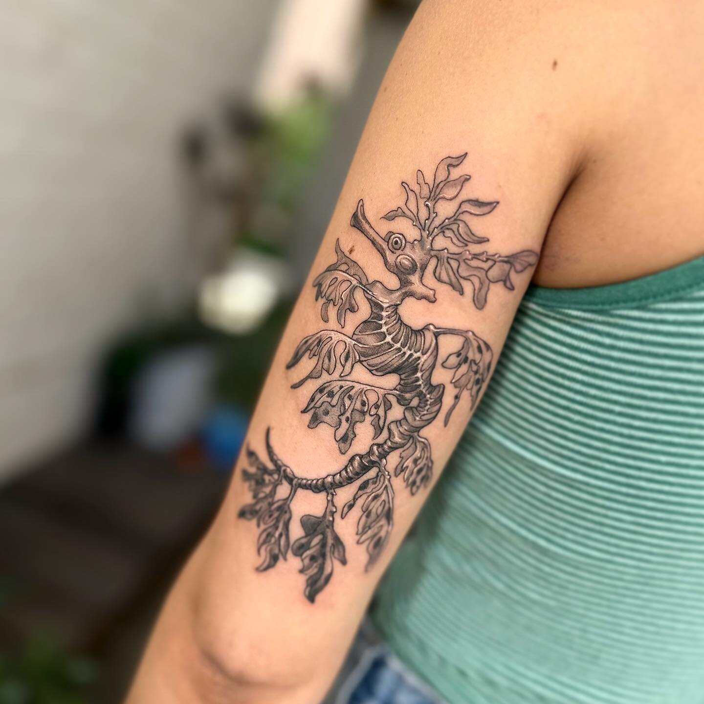 leafy sea dragon 🐉💦
Thanks Delilah ! 
.
.
.
.
#leafyseadragon#seadragontattoo#perthtattoo#perthtattooartists#perthtattooartist