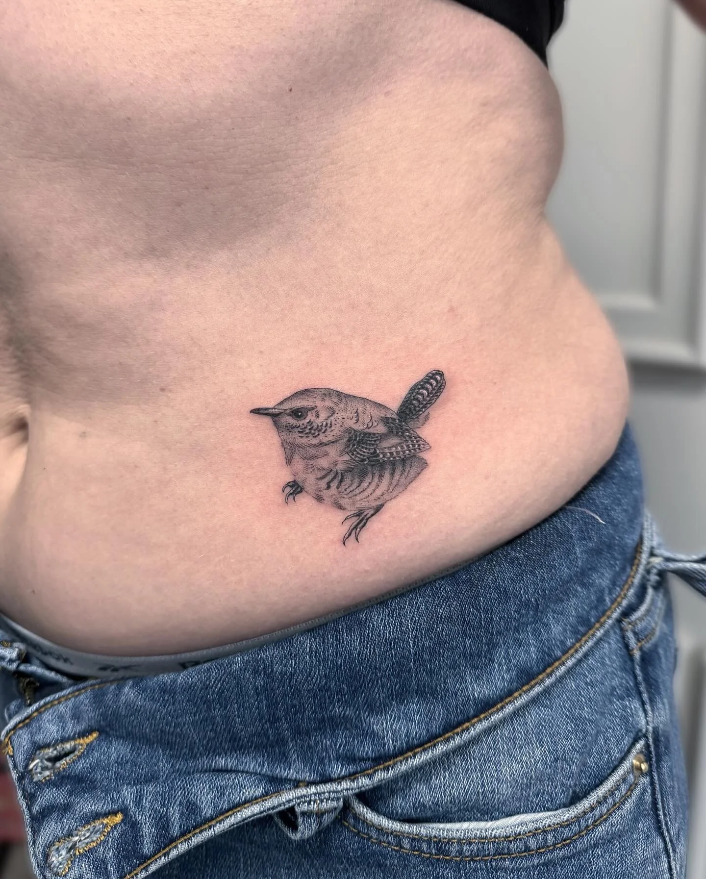 Teeny weeny Wren for Jenny π€