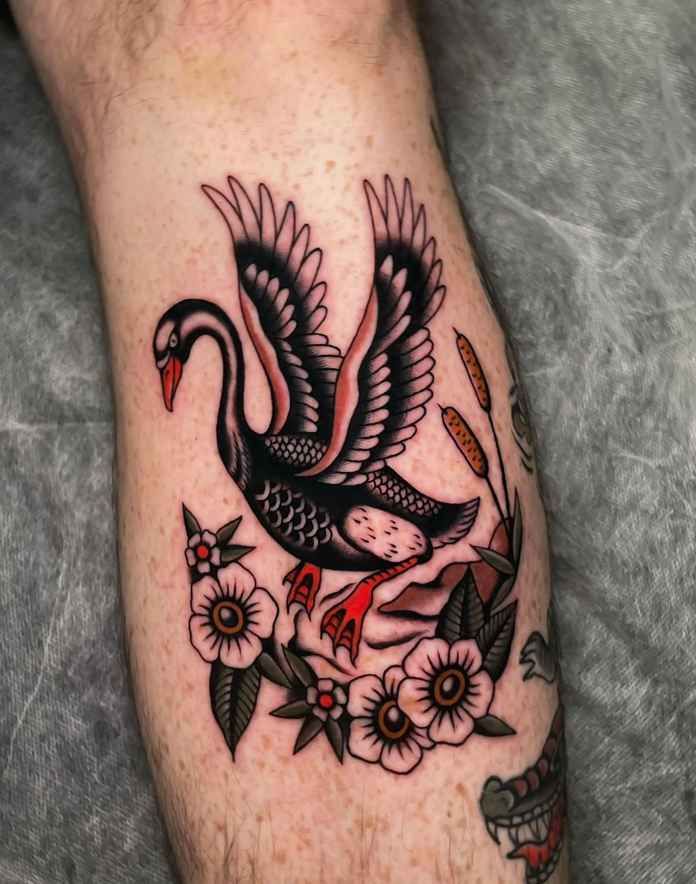 Black swan for Ryan, always a pleasure β
β β
made today at @wa.ink.tattoo