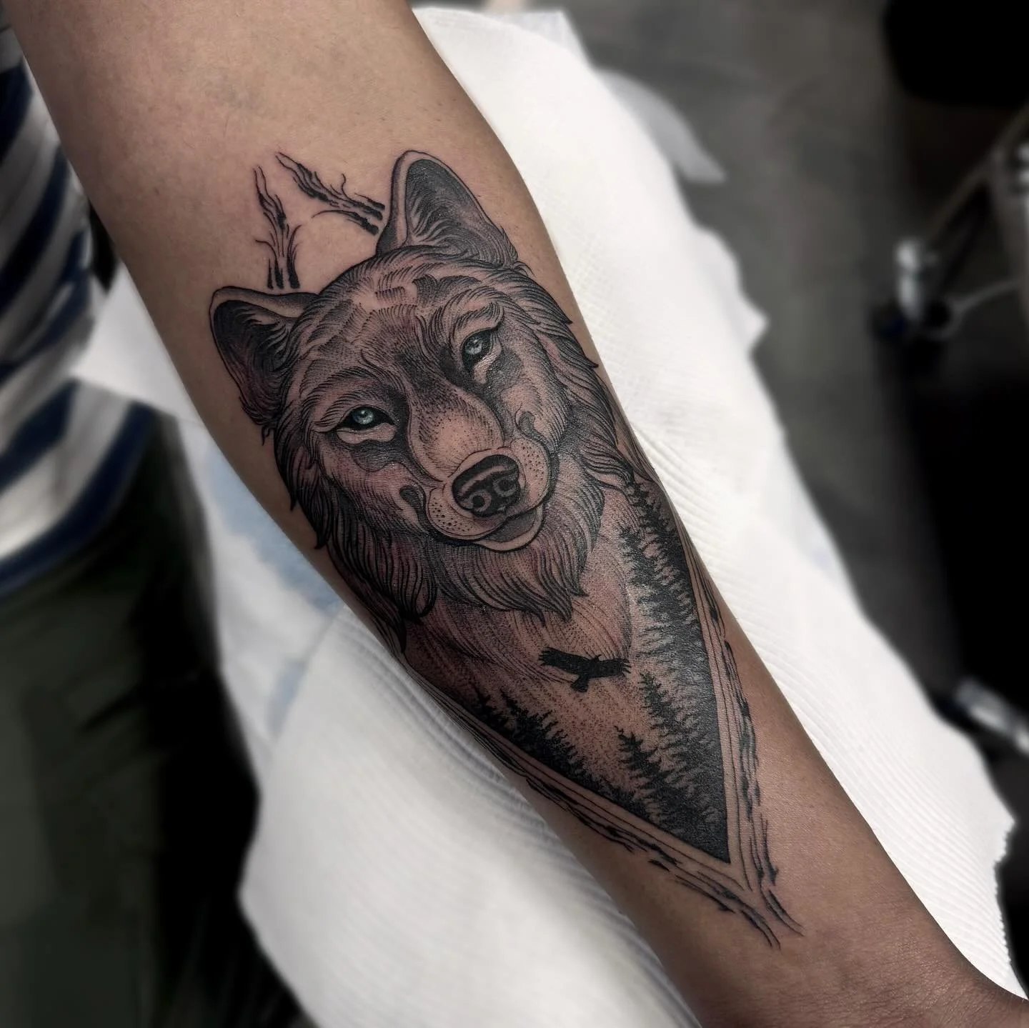 Wolf for Raj πΊ Always down for something different π€ pop me a DM to book in β¨
Located - @wa.ink.tattoo