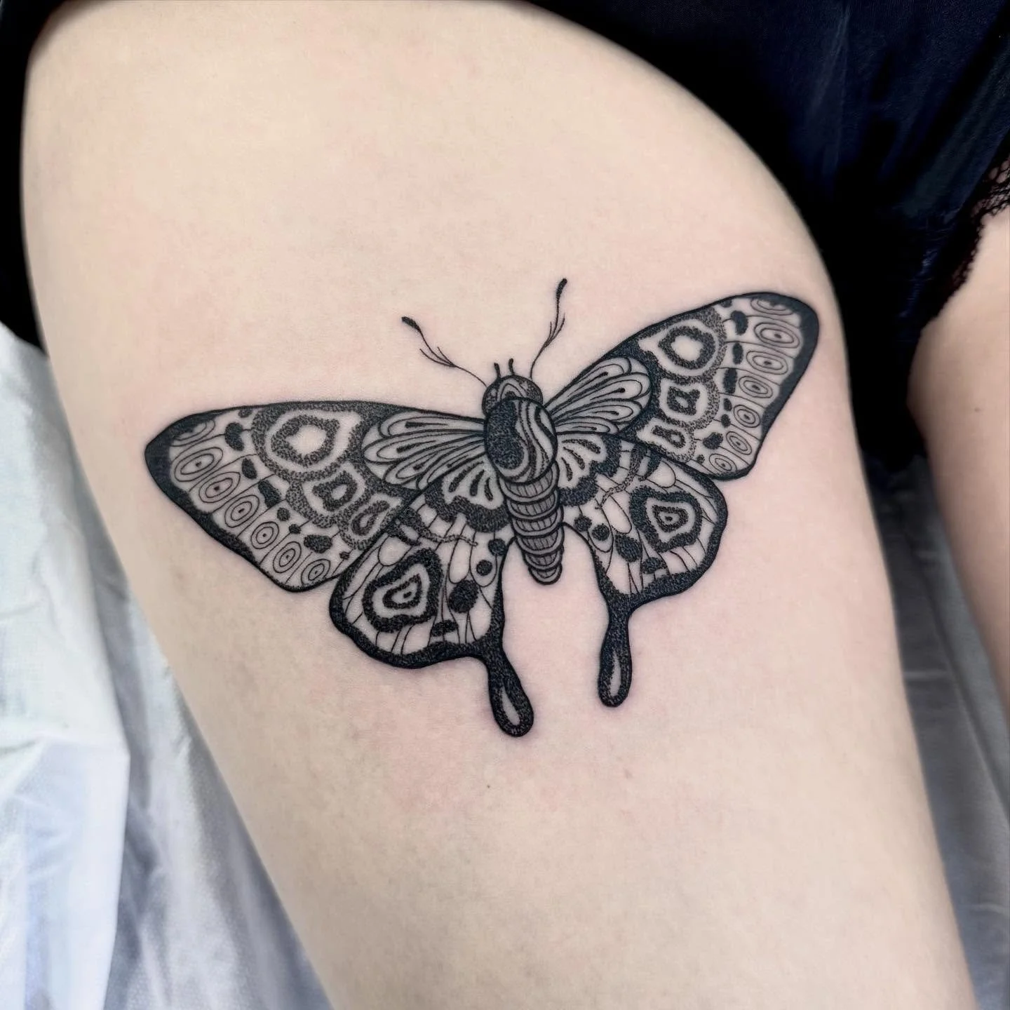 Moth for Pauline π€ thanks for getting booked in I had so much fun doing this! β¨ DM for appointments :)