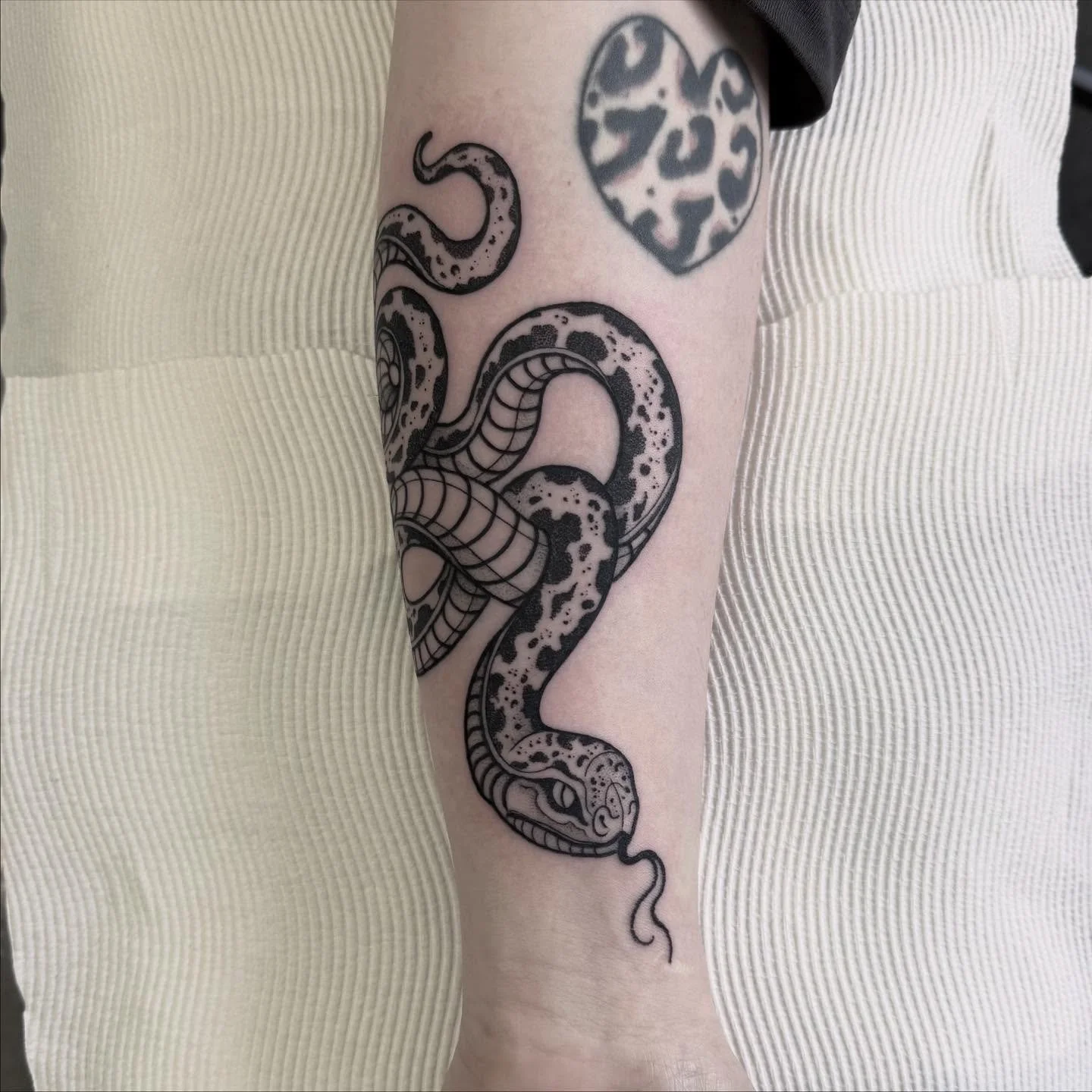Slithery little snake from my flash β¨ thank you Jen it was lovely to meet you!
Located @wa.ink.tattoo