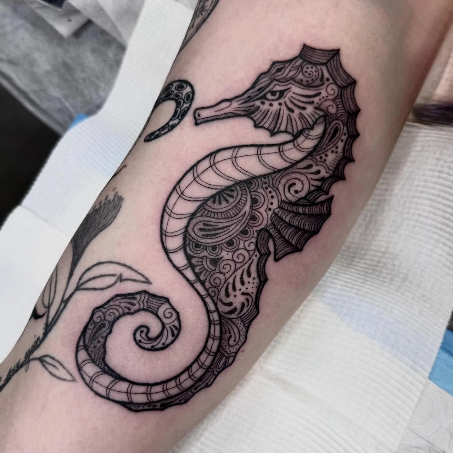 Seahorse for Cara 🖤 thank you lovely ✨
DM or email hayliefarrell@icloud.com for bookings 
Located 📍 @wa.ink.tattoo