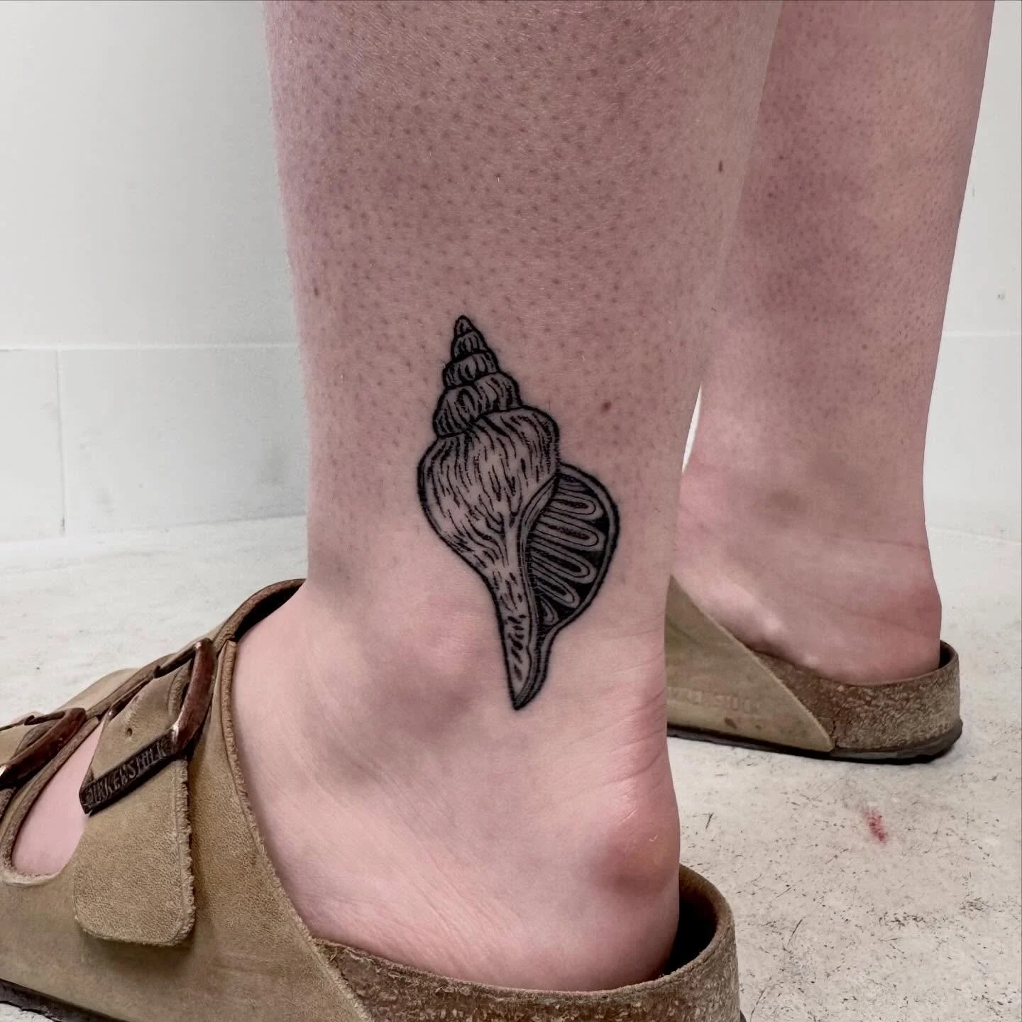 ✨Healed✨ cute lil shell from my flash 🐚 
DM or email hayliefarrell@icloud.com to get booked in ✌️
Located - 📍 @wa.ink.tattoo