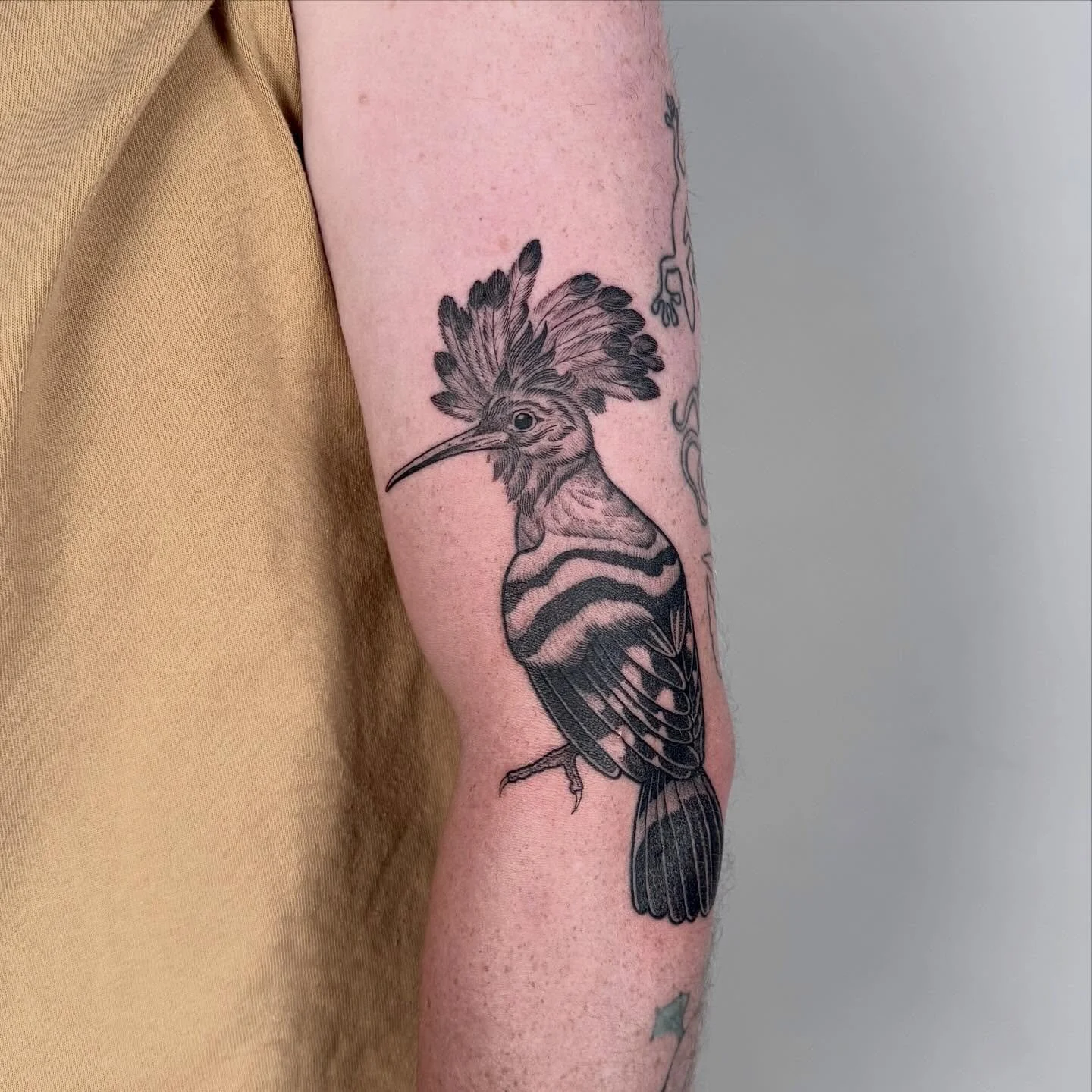 I love tattooing birds and this Hoopoe was so much fun! Thanks again Rob ✌️
DM or email hayliefarrell@icloud.com for bookings.
Location - 📍 @wa.ink.tattoo