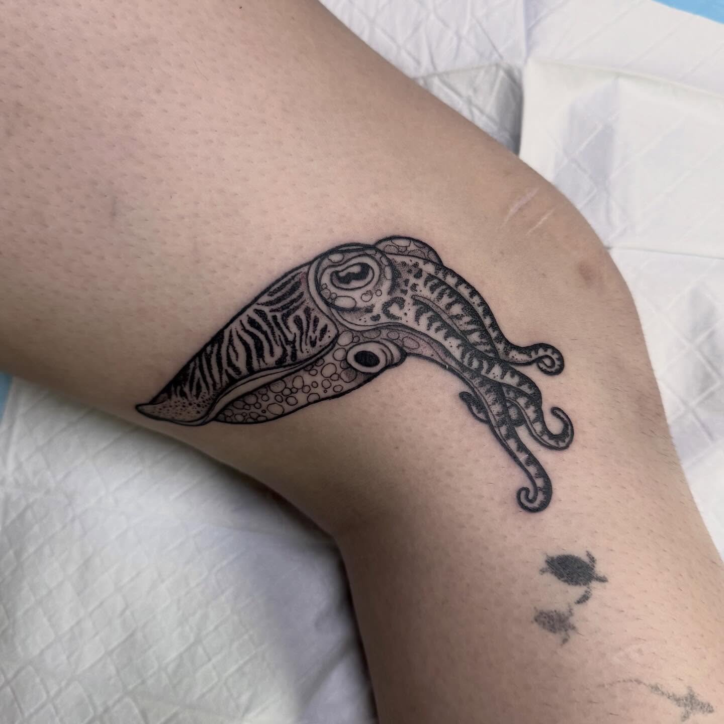 Cute little Cuttlefish from my flash for Isabelle 🖤 
Drop me a DM to book in ✨ appointments available throughout April - you can also email me at hayliefarrell@icloud.com 💌 
Located - 📍 @wa.ink.tattoo