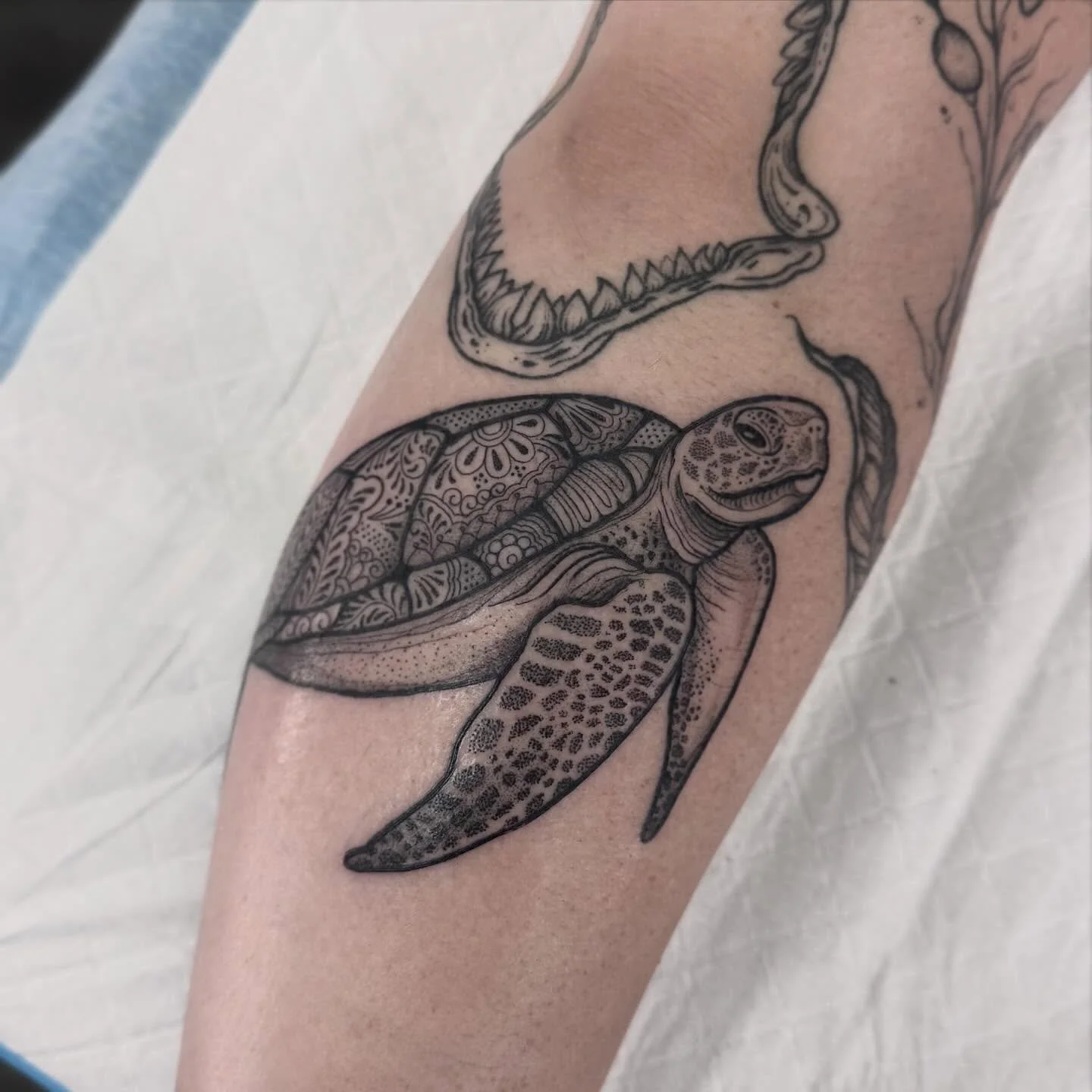 Turtle time ✨ thanks Cara 🖤 
DM or email hayliefarrell@icloud.com
Located - 📍 @wa.ink.tattoo