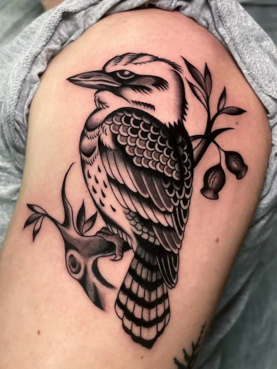 Kookaburra for Rich, thank you again! ★ ☆ ★ Made today at @wa.ink.tattoo