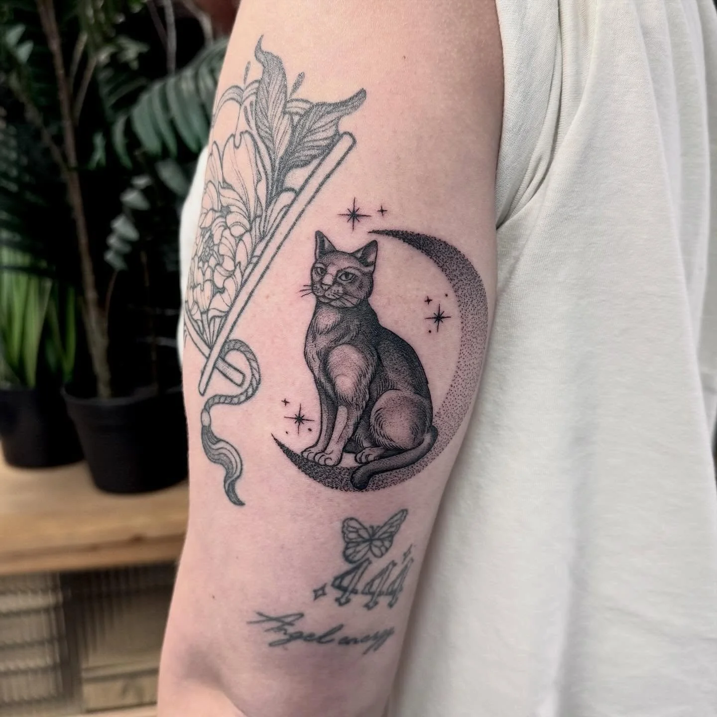 Cute lil cat and healed fan flash for Casey 🐈&zwj;⬛ 🌙 
Taking bookings for end of April/ May
DM or email hayliefarrell@icloud.com
Located @wa.ink.tattoo