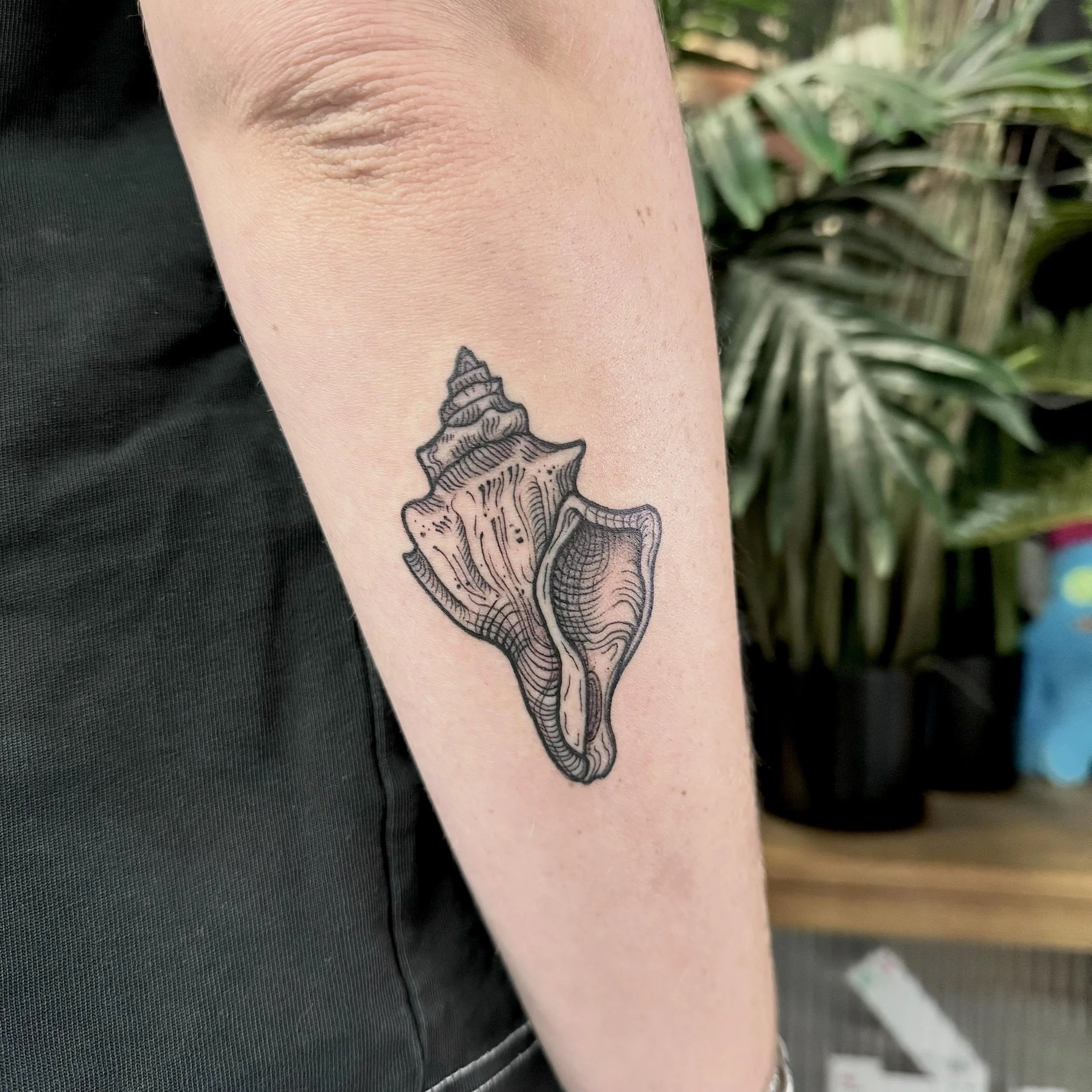 Lil shell 🐚 for Sam ☺️
Space available in June! DM and book in!
Located @wa.ink.tattoo ✨