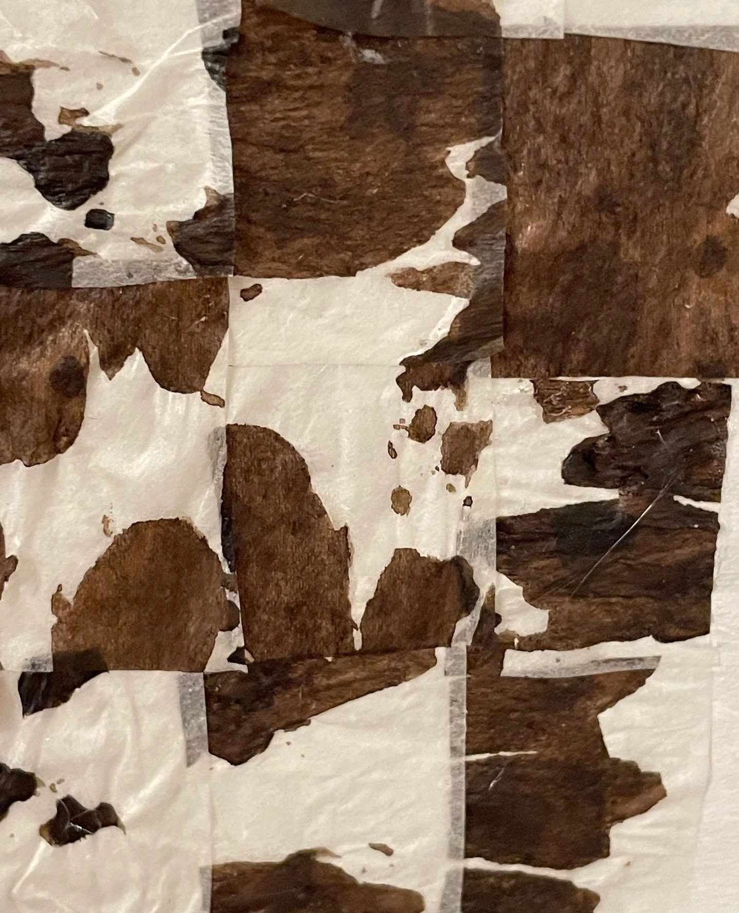 More collaging in my studio this week &mdash; cones dipped in my latest walnut ink, marking Japanese gampi paper with patterns from the land. The variation in the colour of the ink is always a surprise, and this brightness feels especially alive.