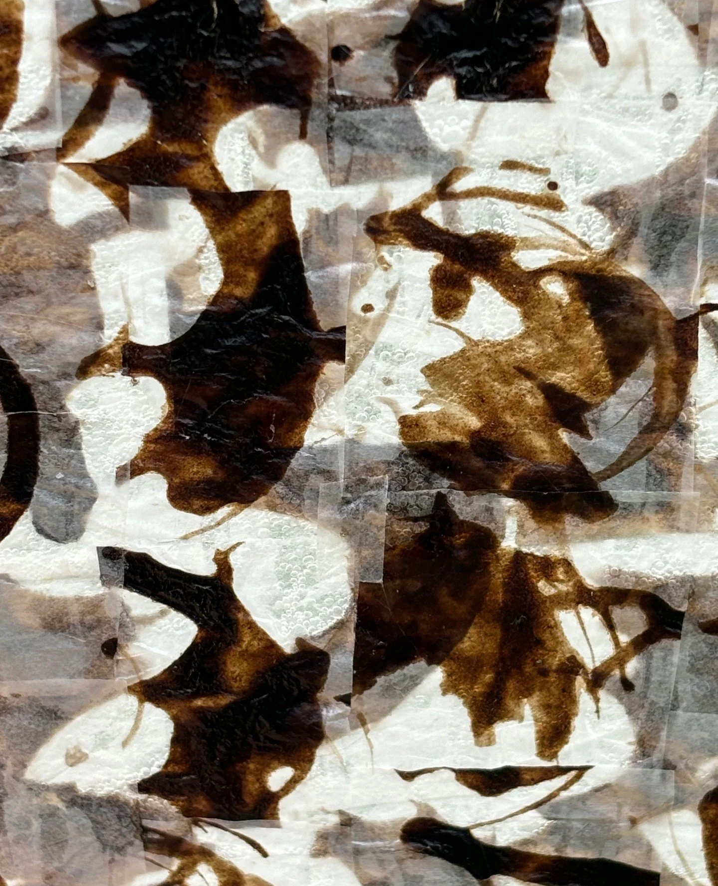 I am continuing to explore the walnut and chalk layers of my landscape, working on both sides of this textured Japanese gampi paper with walnut ink markings. The drawings reflect the ever&ndash;changing sowing patterns of the Dorset fields &ndash; qu