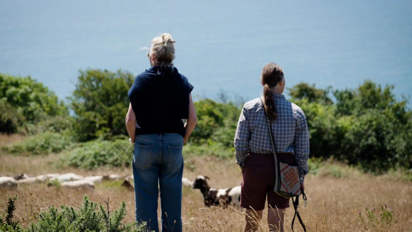 Last year I bought some beautiful organic Dorset Down sheep&rsquo;s wool from the wonderful Ellen @ Tamarisk Farm &ndash; a farm perched right on the edge of the sea at West Bexington in Dorset. ⁠
Ellen took me up to the field to meet the flock while