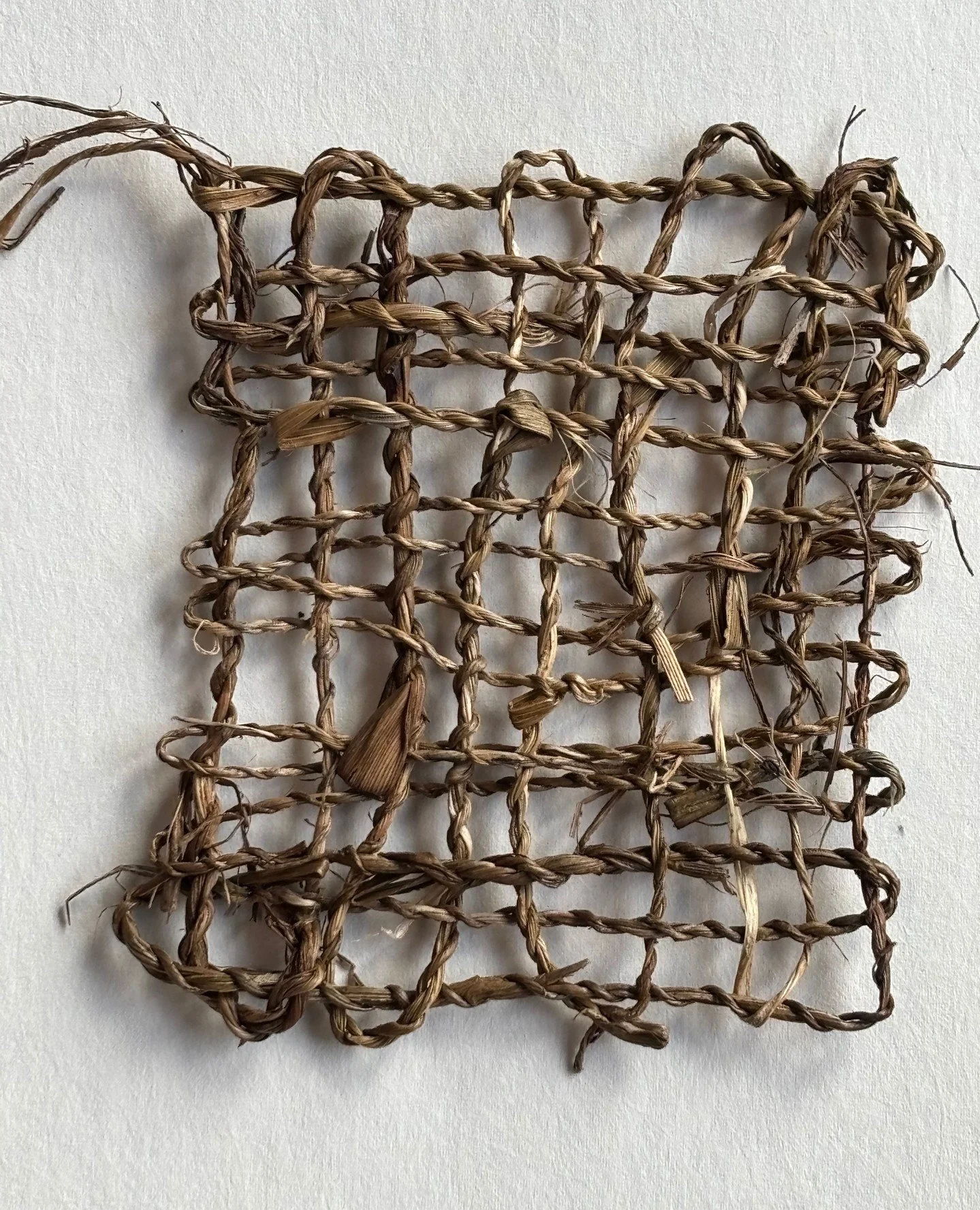I've been at Moor Hall Studio @bobbybritnell for the past three days 'Weaving the Land' with the wonderful @Alicefoxartist. I discovered how to make cordage. I love the simplicity, strength and imperfections of my first piece woven with cordyline. ⁠A