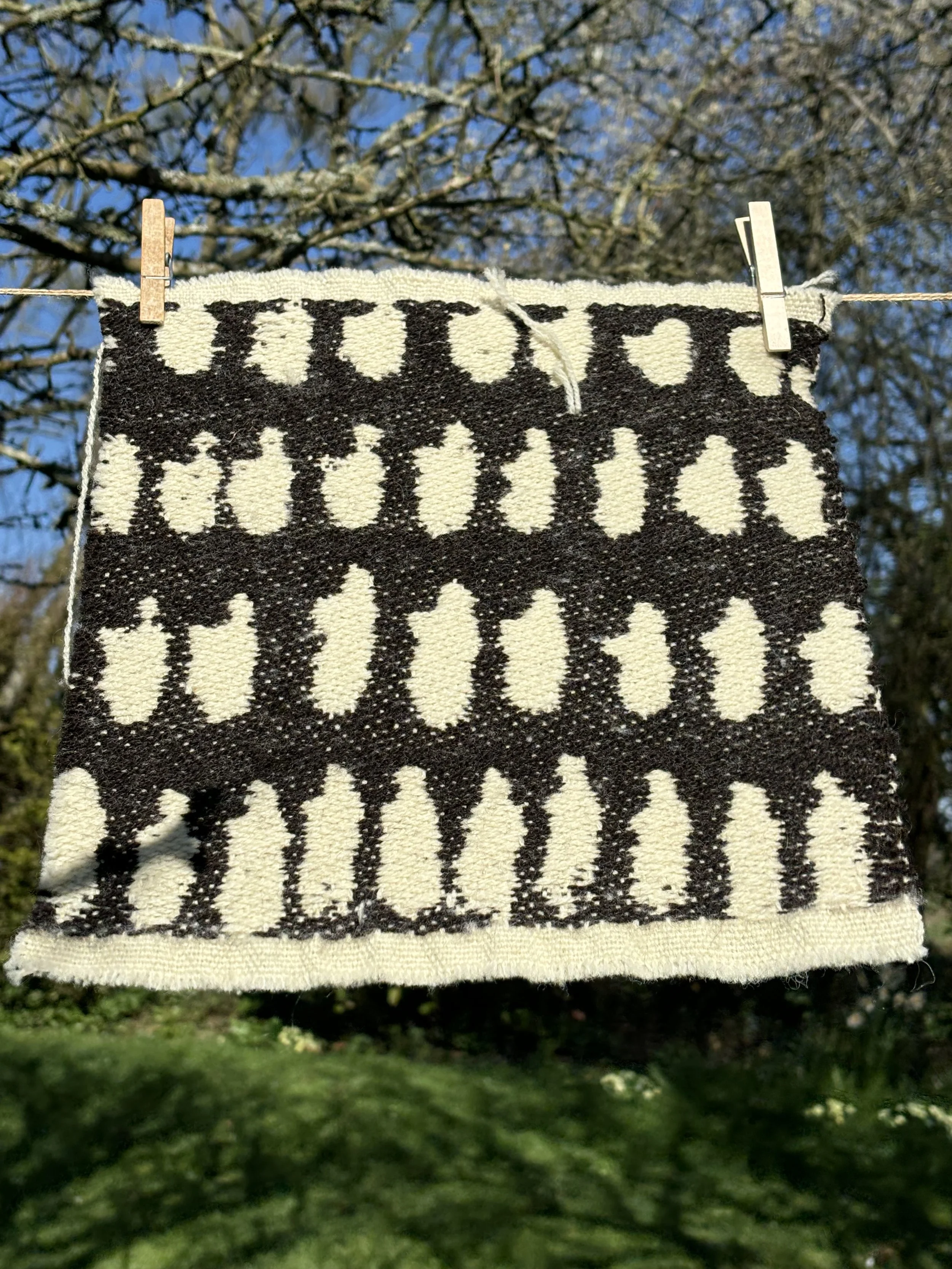 Hands in the Earth field pattern designs,  handwoven jacquard weaves, organic Dorset down wool, walnut ink,.jpeg