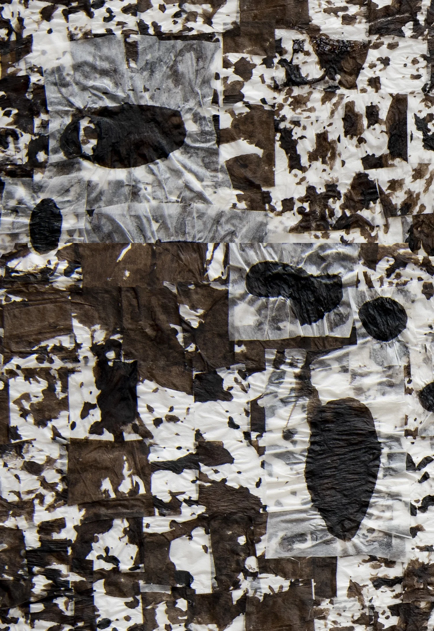Wood Pattern Ink Making Black Walnut Ink, a natural ink and dye — StudioBudgeBudge