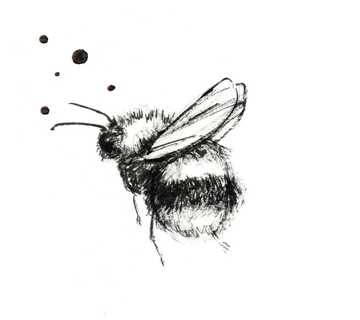 Bumblebee met spetters.jpg