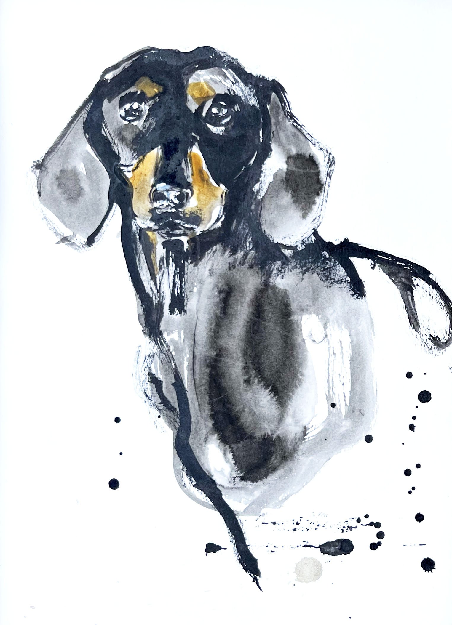 sausage dog