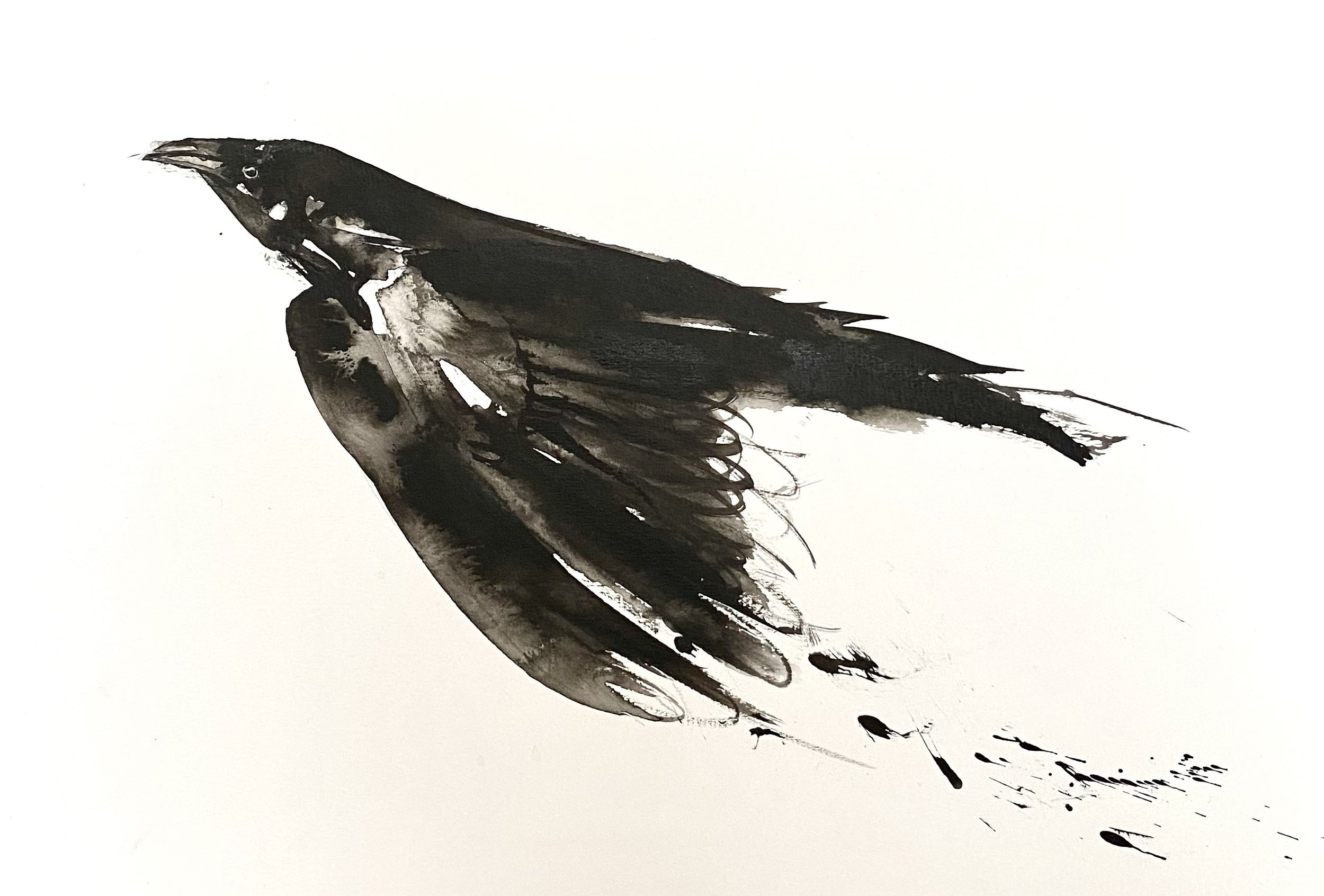 Crow flight